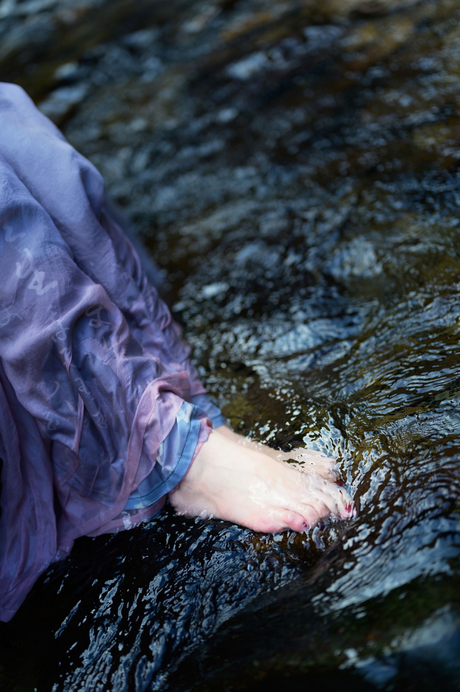 兔子Zzz不吃胡萝卜 – 《寻蝶梦》[36P]