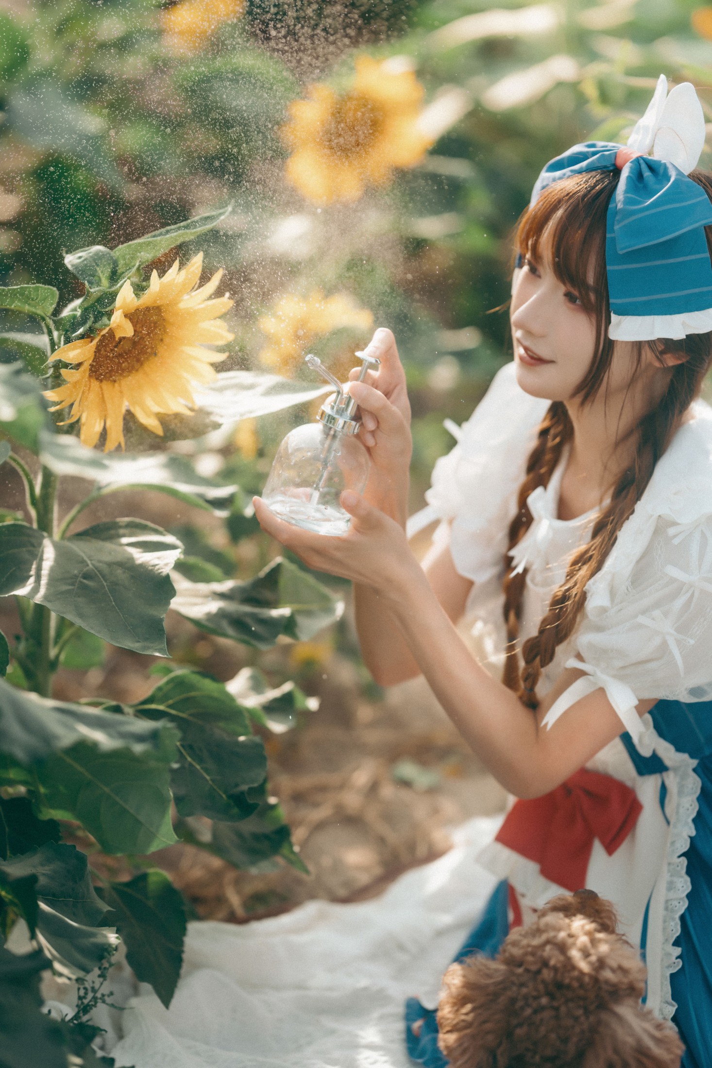 兔子Zzz不吃胡萝卜 – 《甜甜向日葵女孩》[32P]