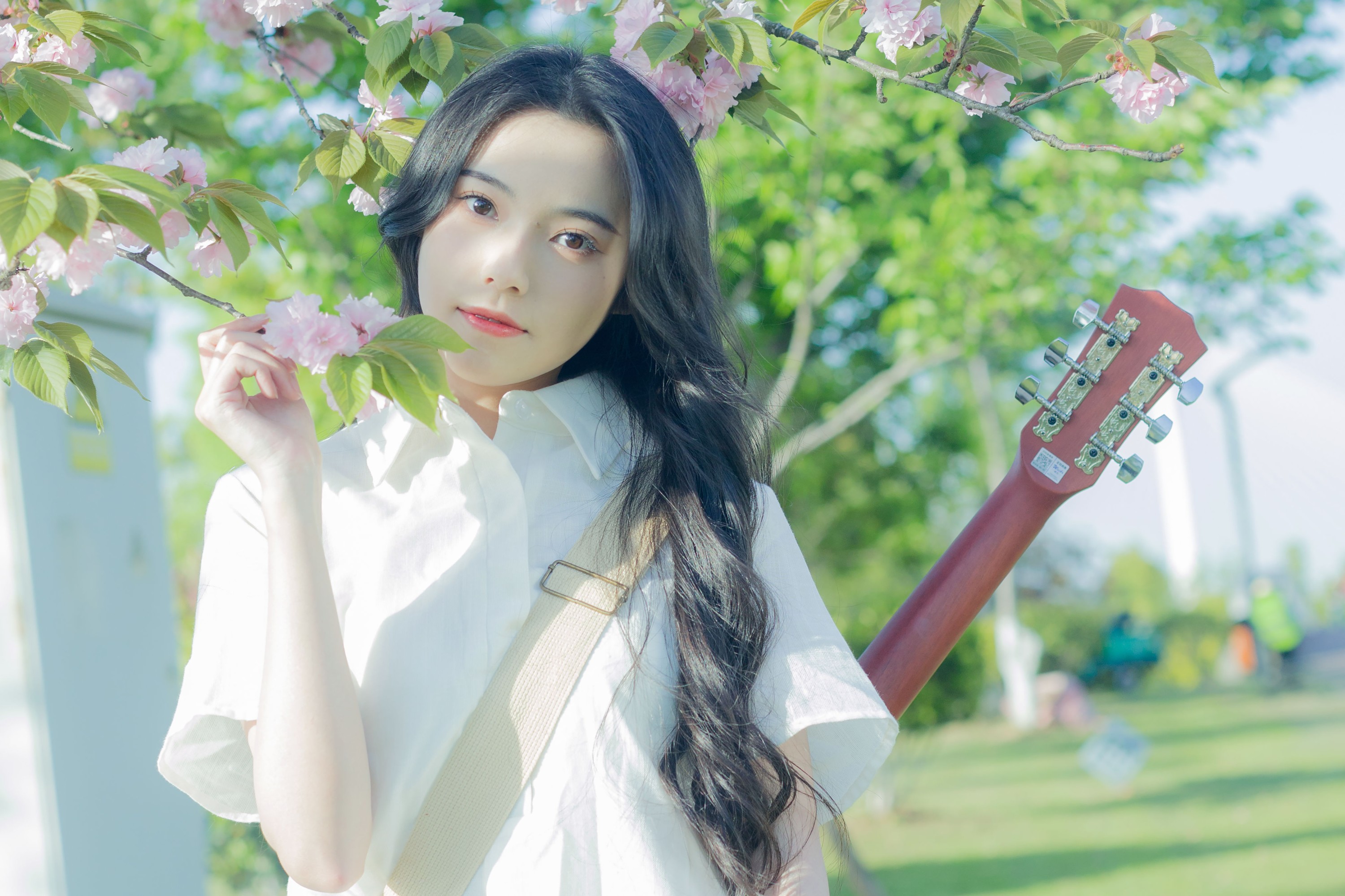 靜鏡婧 – 《给晚樱的情歌》[28P]