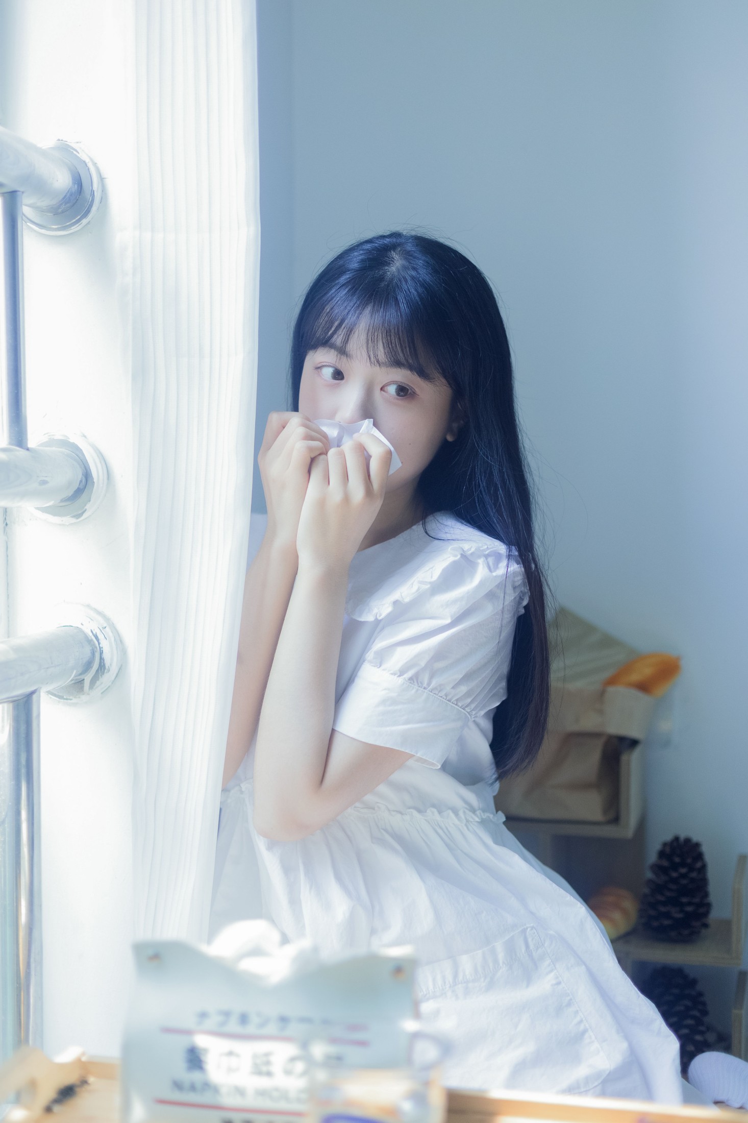 一只暖暖 – 《白日梦》[35P]