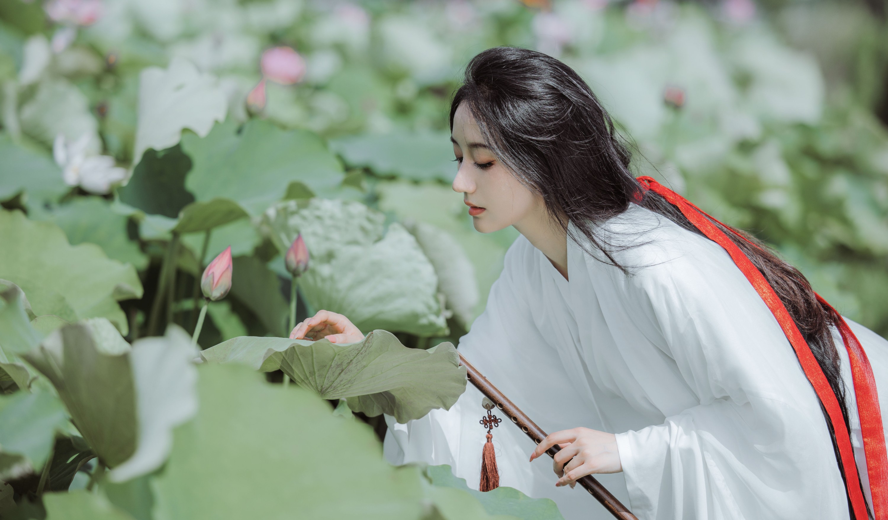 柒苡安 – 《荷花》[23P] 插图5