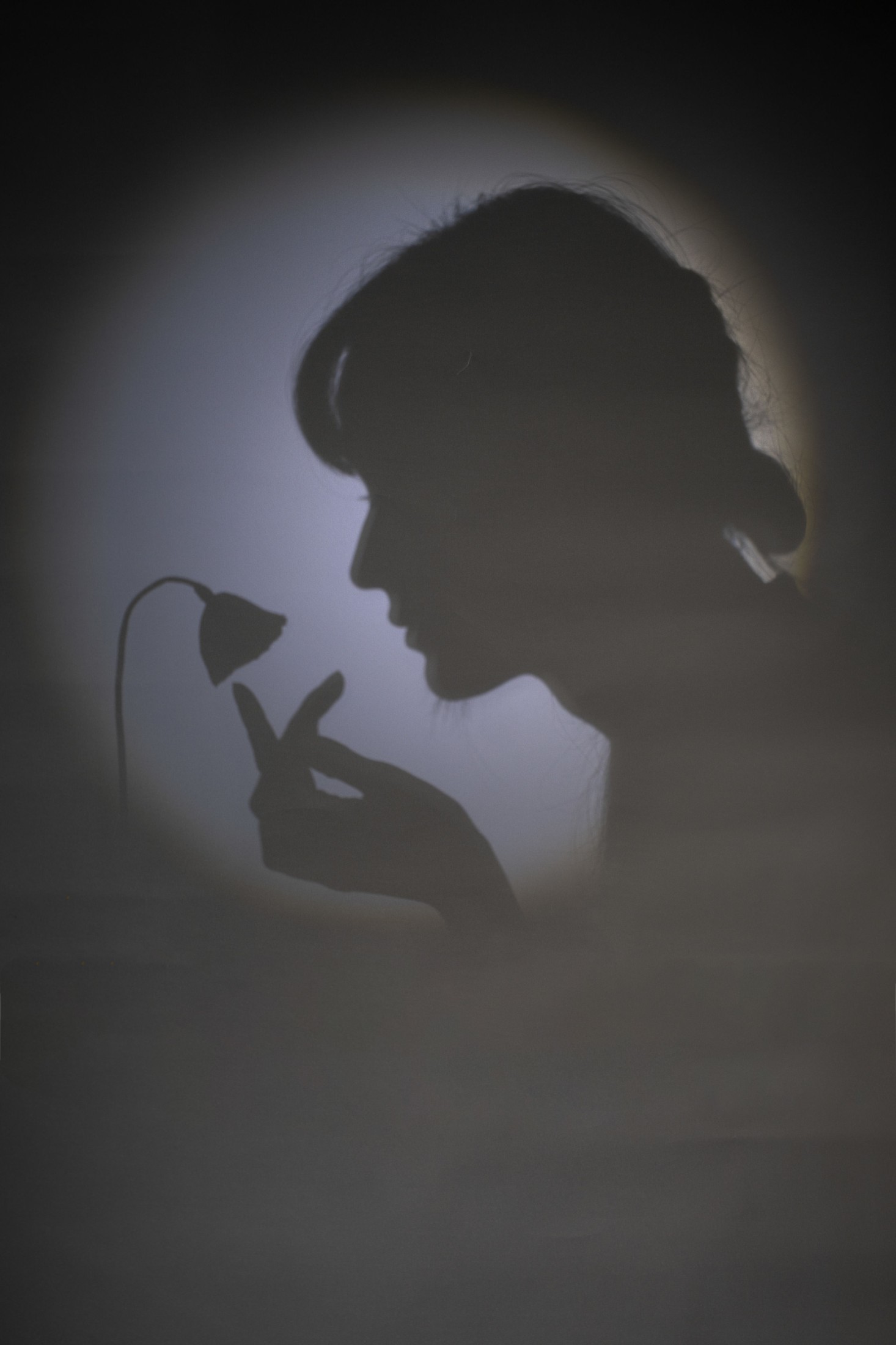 兔子Zzz不吃胡萝卜 – 《妙语》[23P]