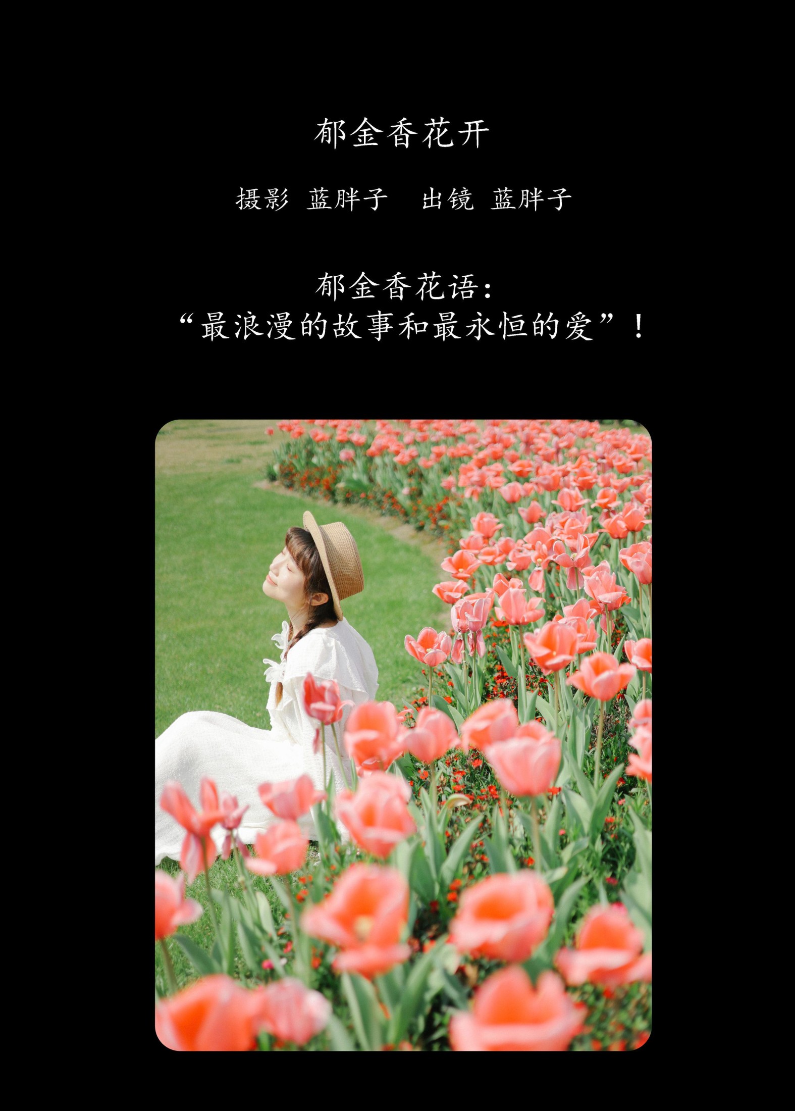 蓝胖子 – 《郁金香花开》[28P]