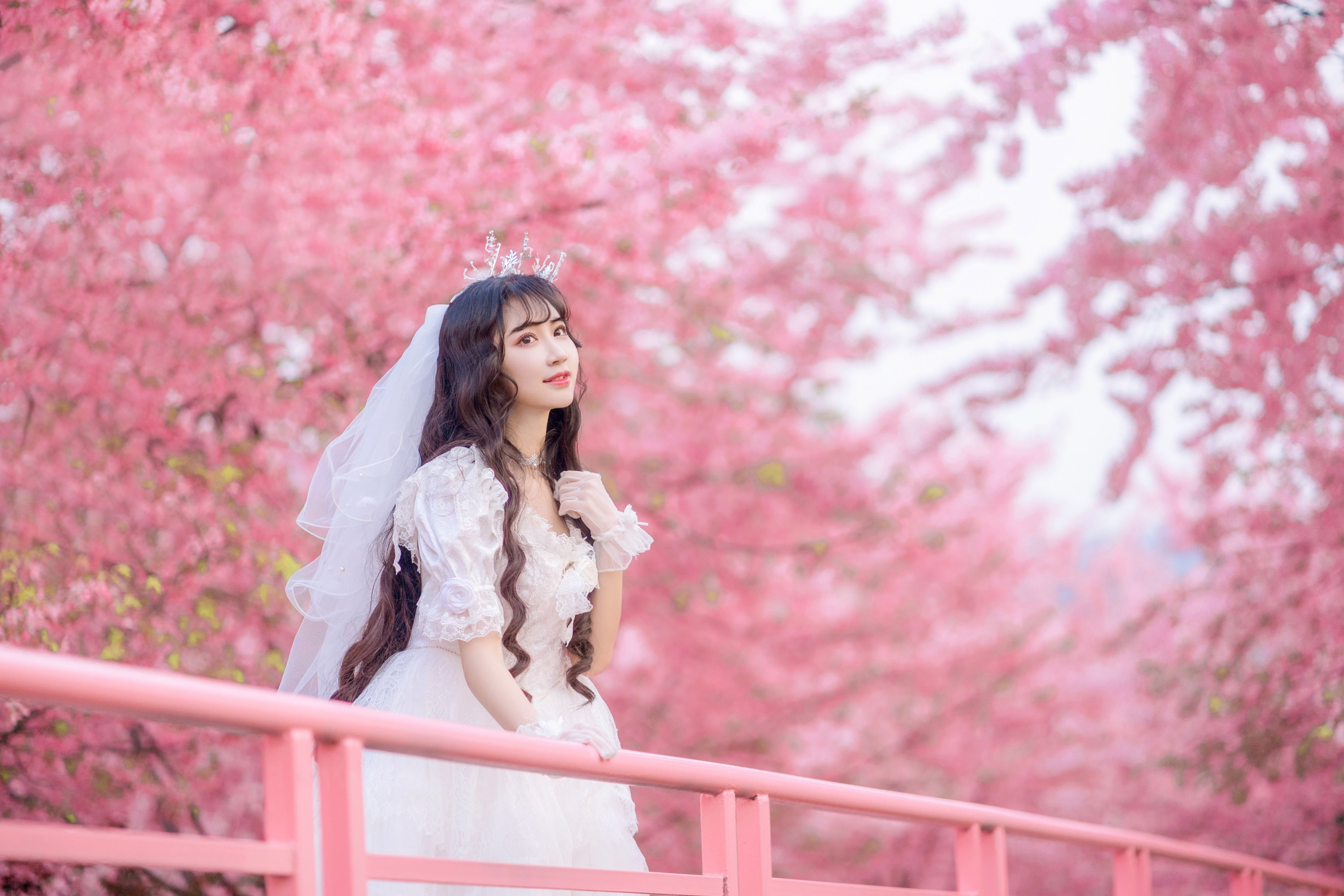 绮罗生的小苏苏 – 《花嫁》[26P]