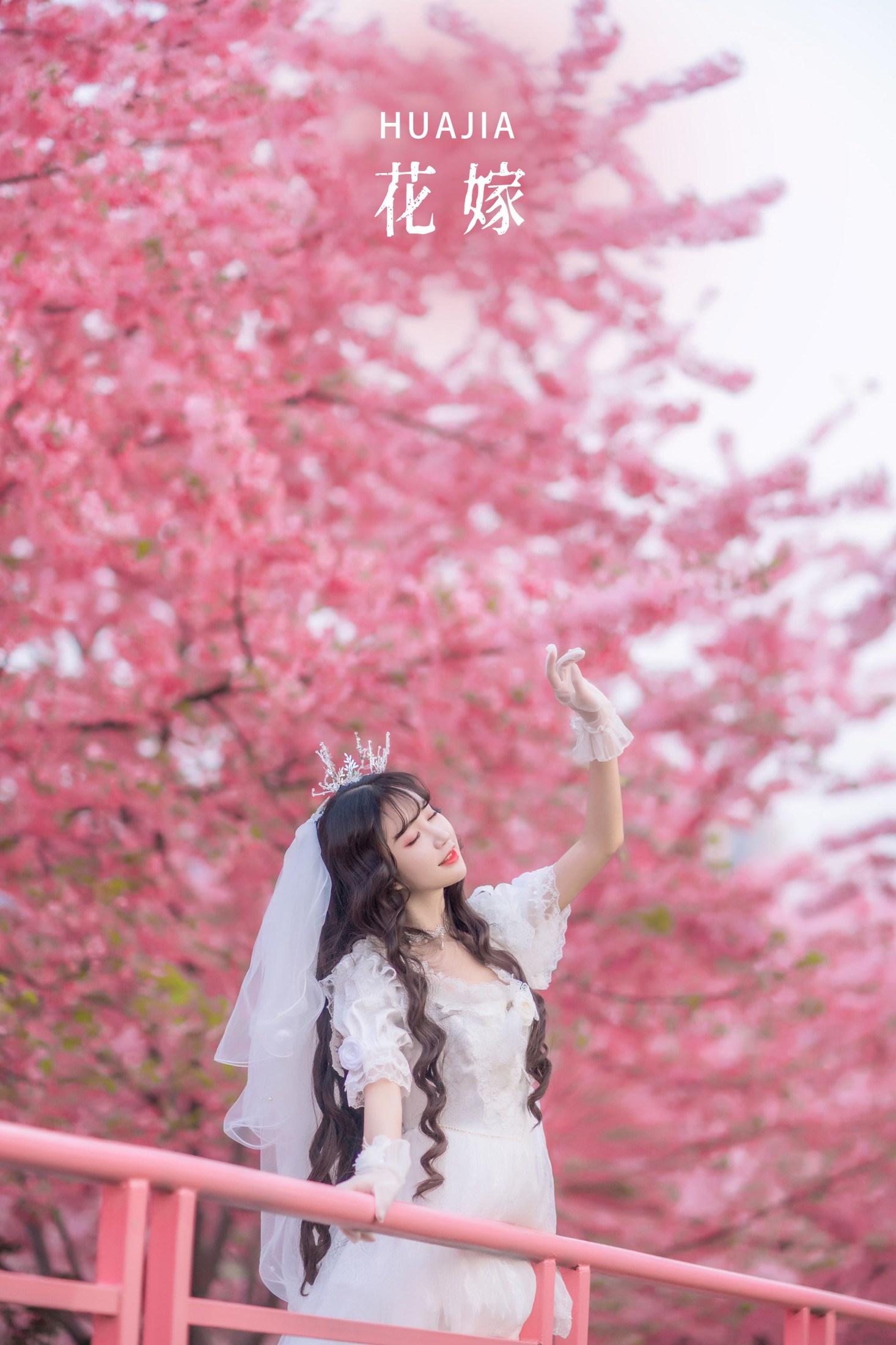 绮罗生的小苏苏 – 《花嫁》[26P]