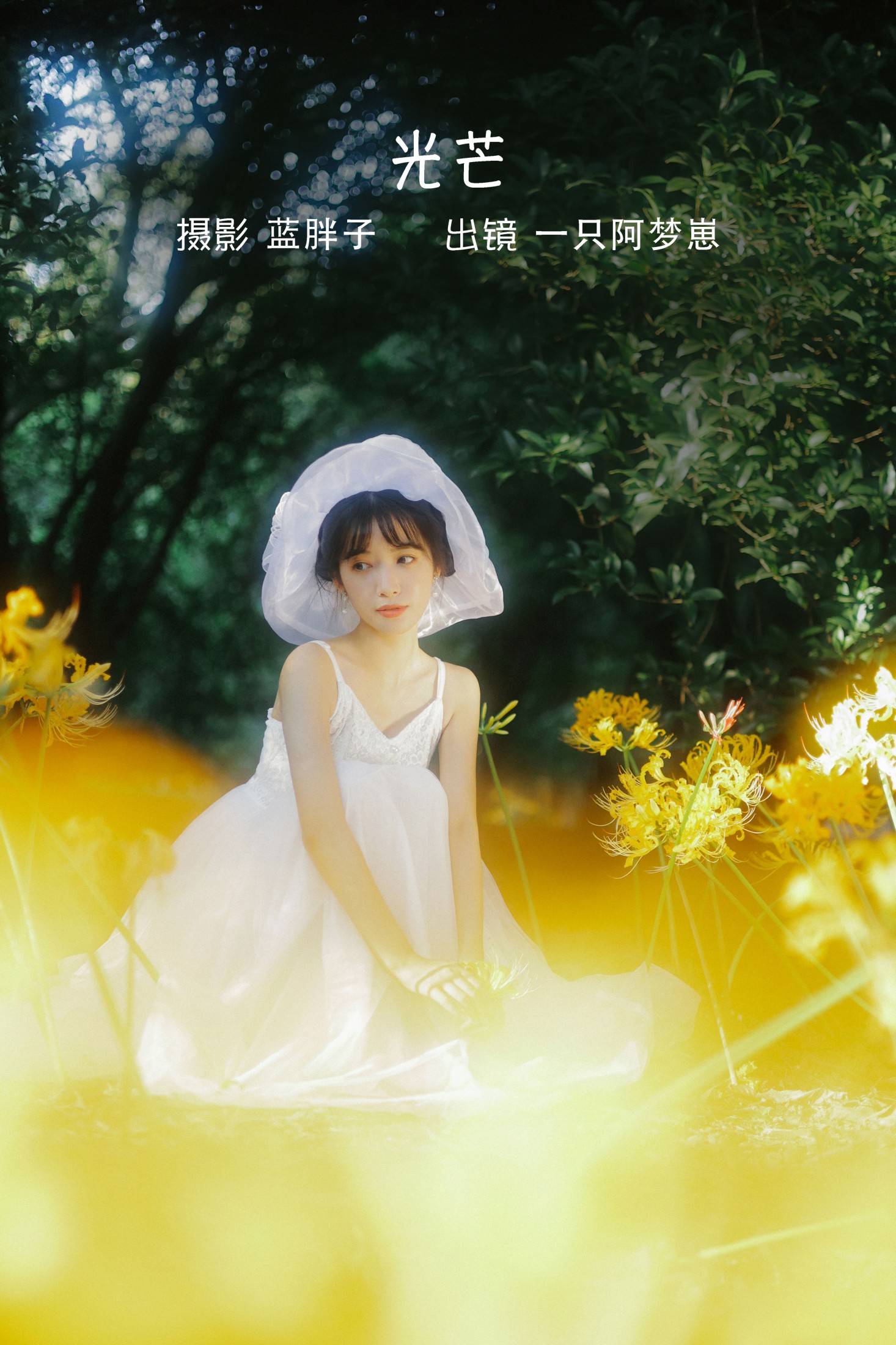 一只阿梦崽 – 《光芒》[41P]