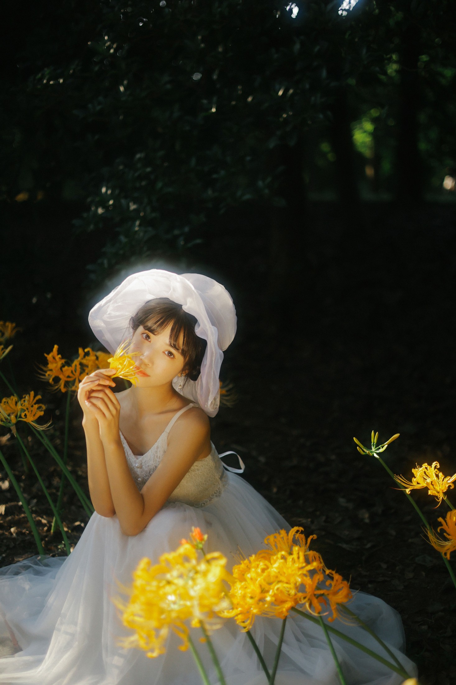 一只阿梦崽 – 《光芒》[41P]