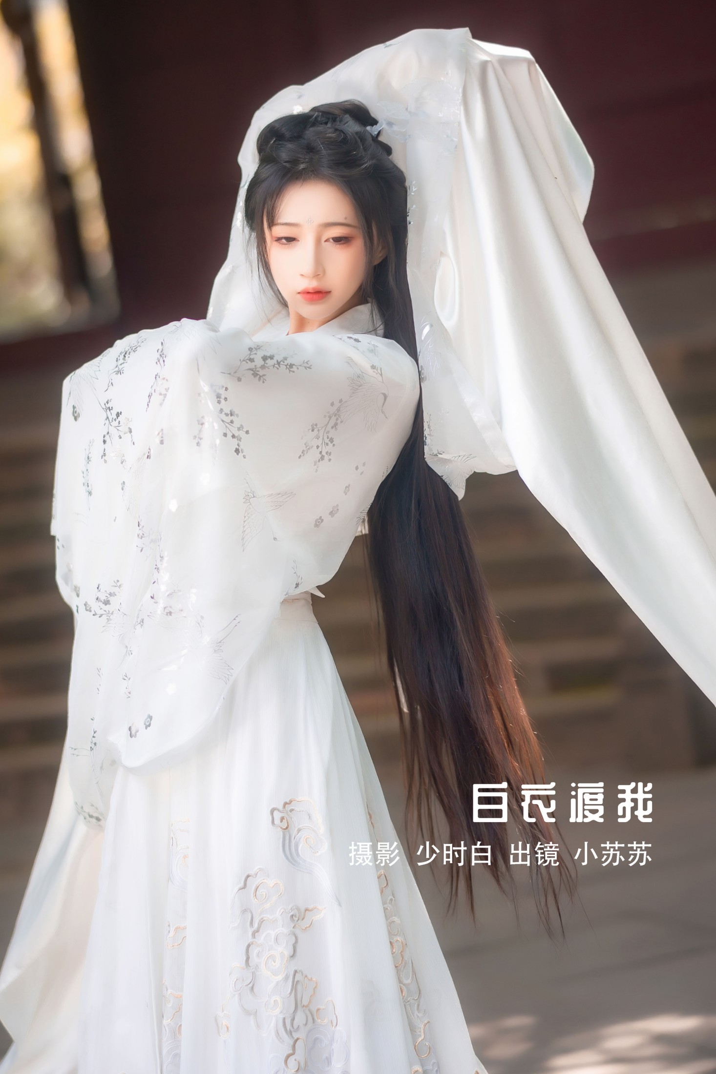 绮罗生的小苏苏 – 《白衣渡我》[34P]