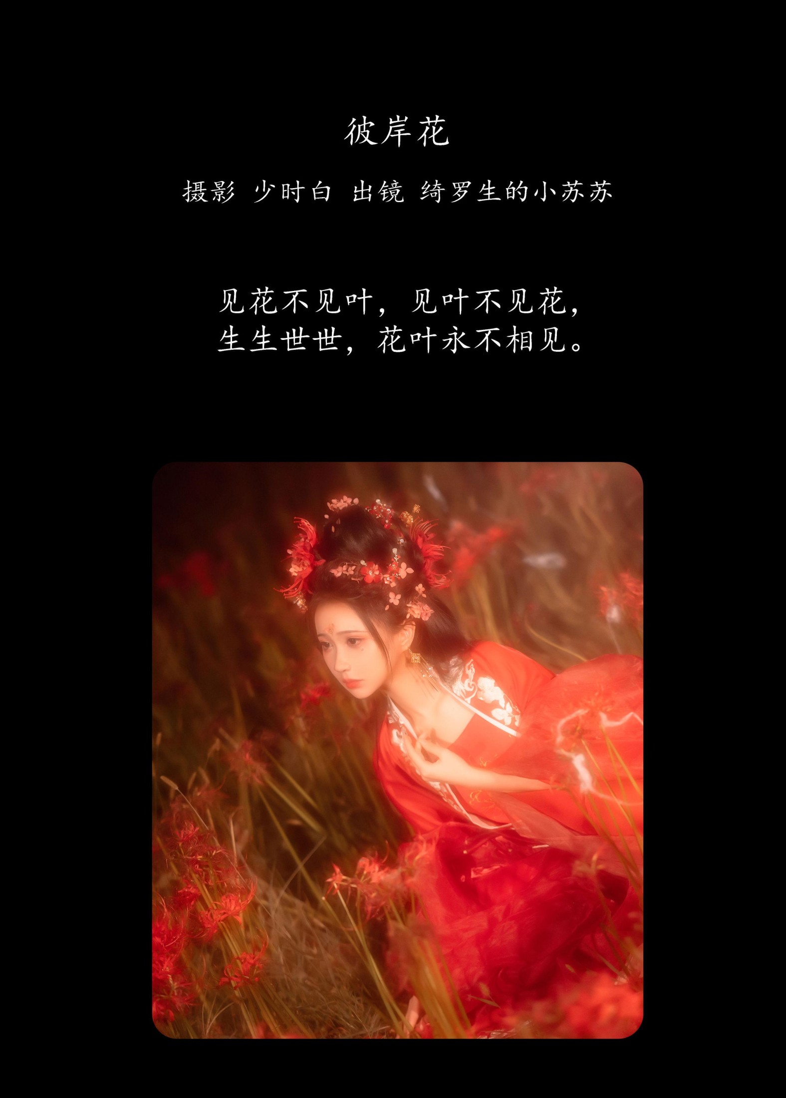 绮罗生的小苏苏 – 《彼岸花》[32P]