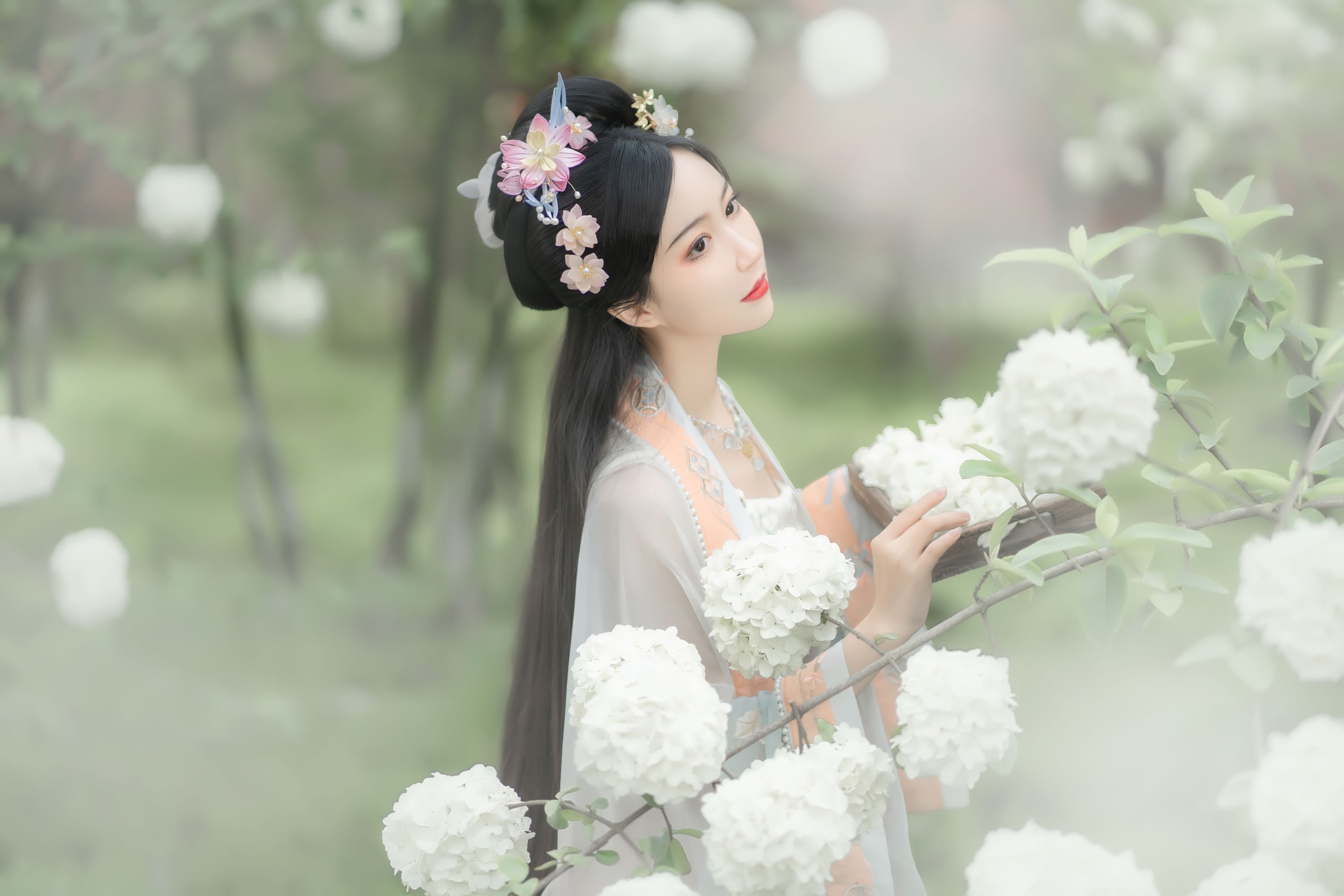 绮罗生的小苏苏 – 《玉楼春》[36P]