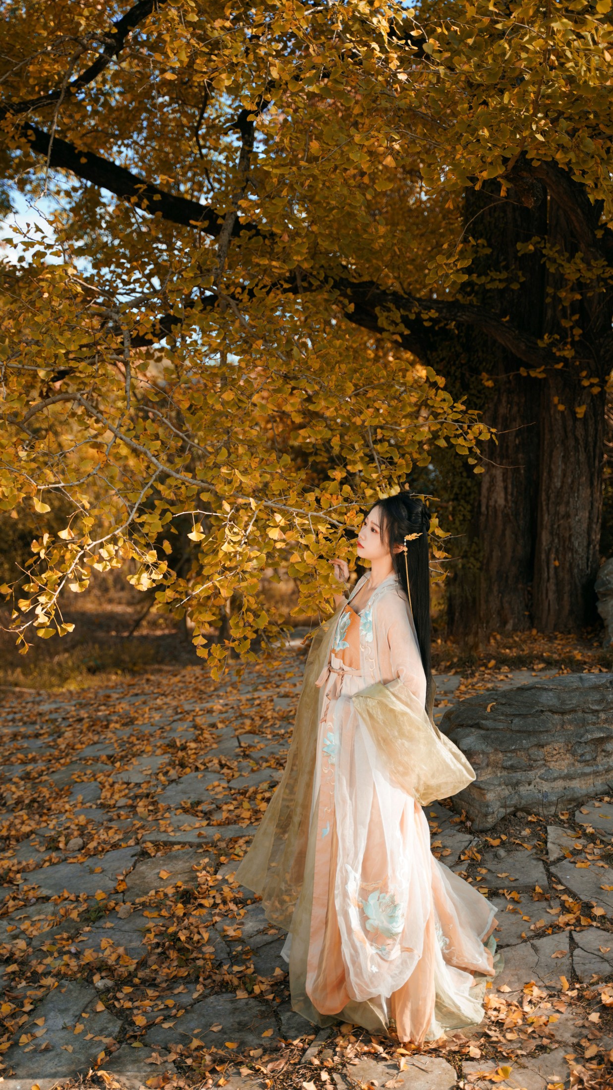 橙子舒 – 《银杏树下》[39P]