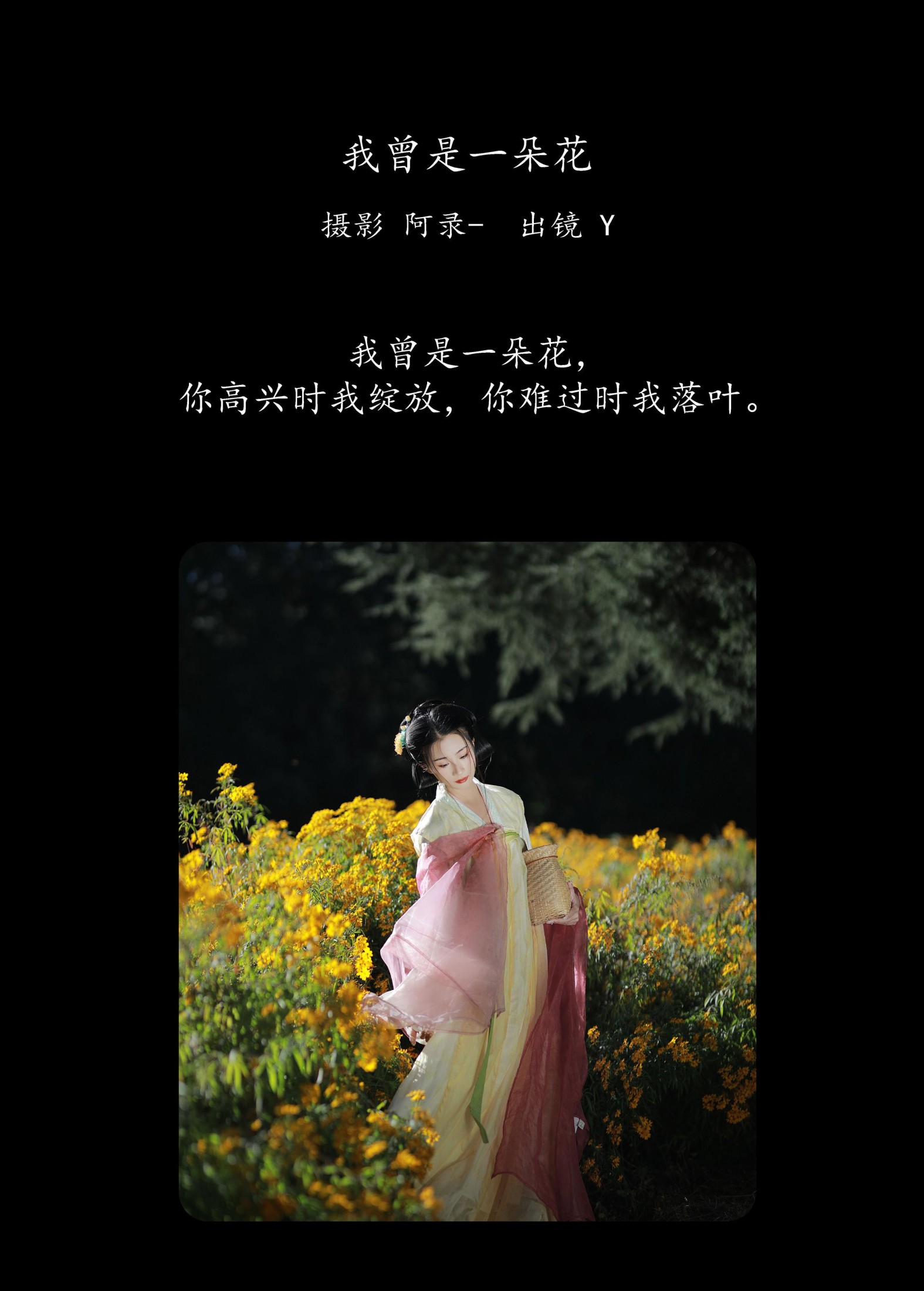 Y – 《我曾是一朵花》[33P]