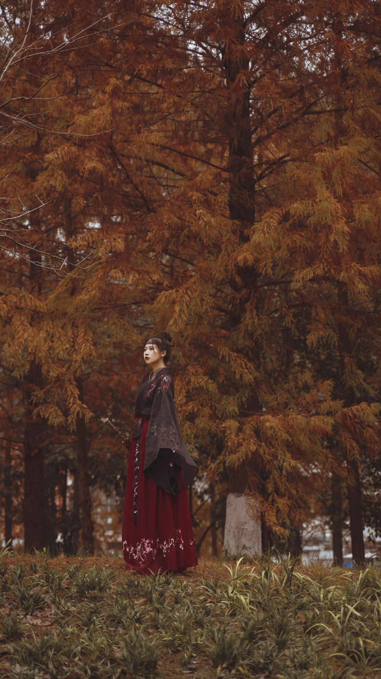 橙子舒 – 《红杉林》[30P]