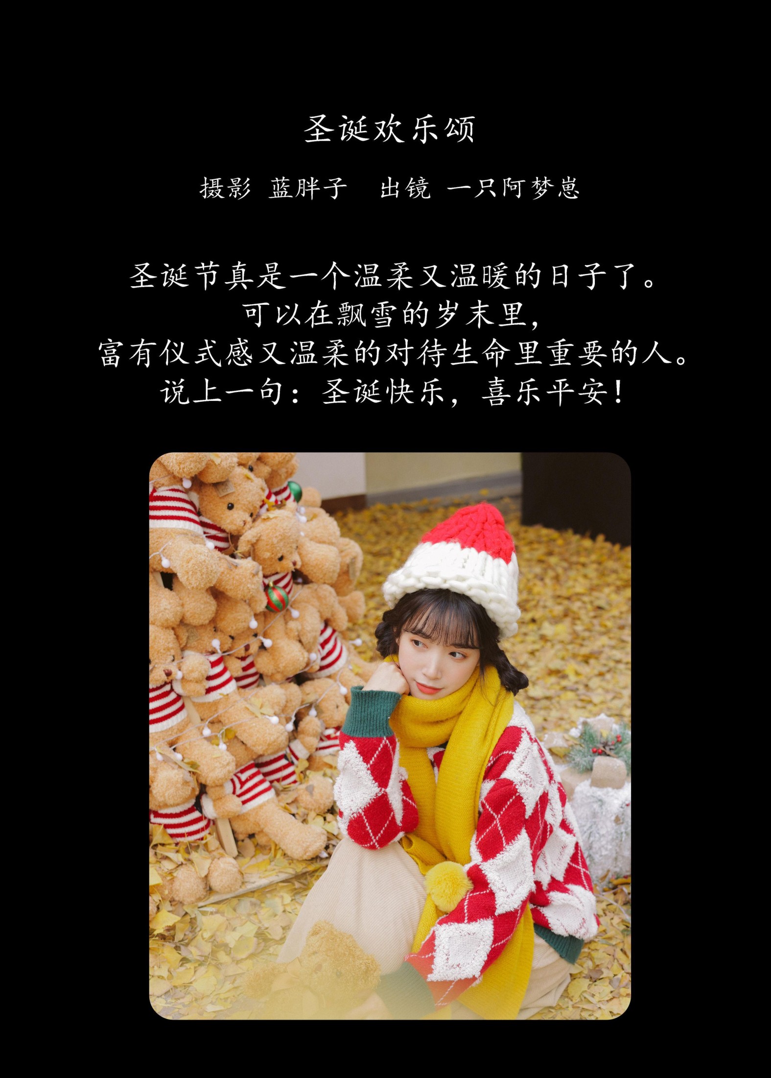 一只阿梦崽 – 《圣诞欢乐颂》[47P]