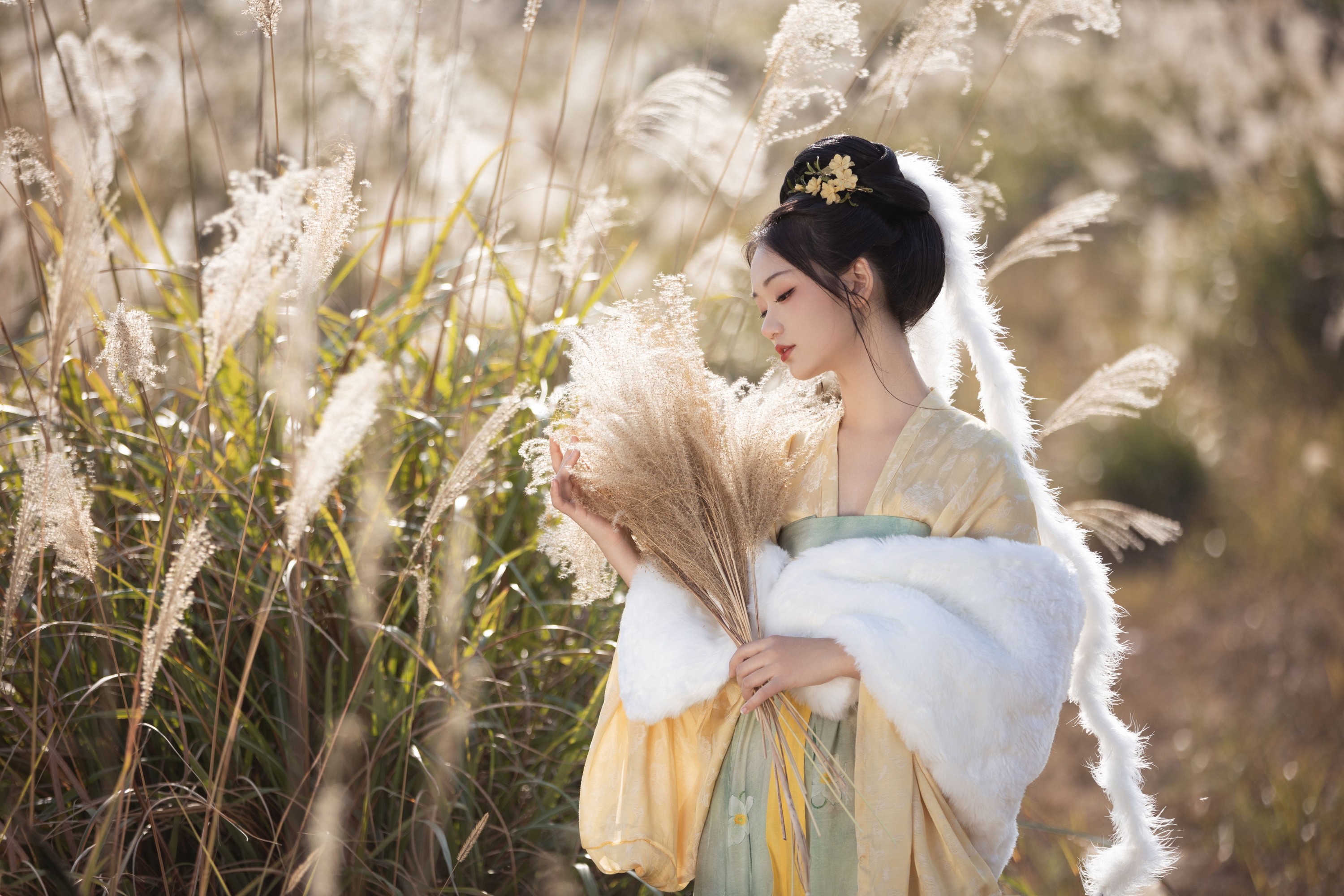 晚江亭 – 《芦苇晚风鸣》[26P]