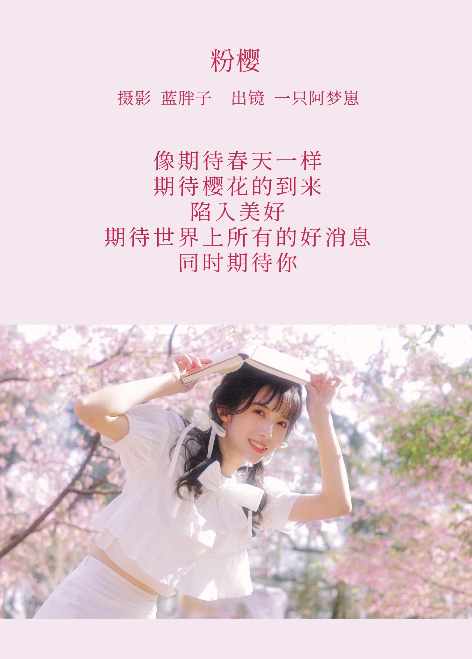 一只阿梦崽 – 《粉樱》[29P]