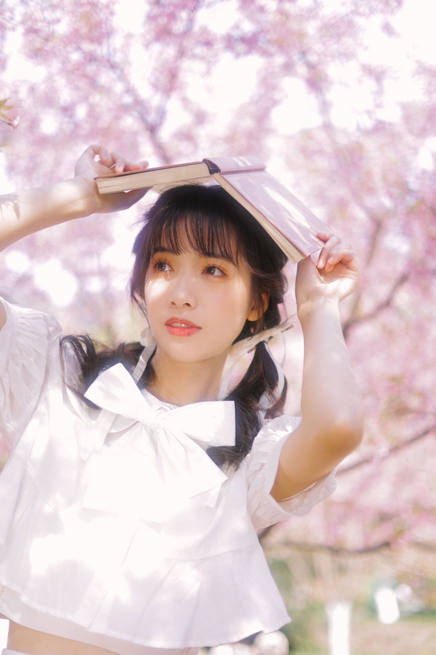 一只阿梦崽 – 《粉樱》[29P]