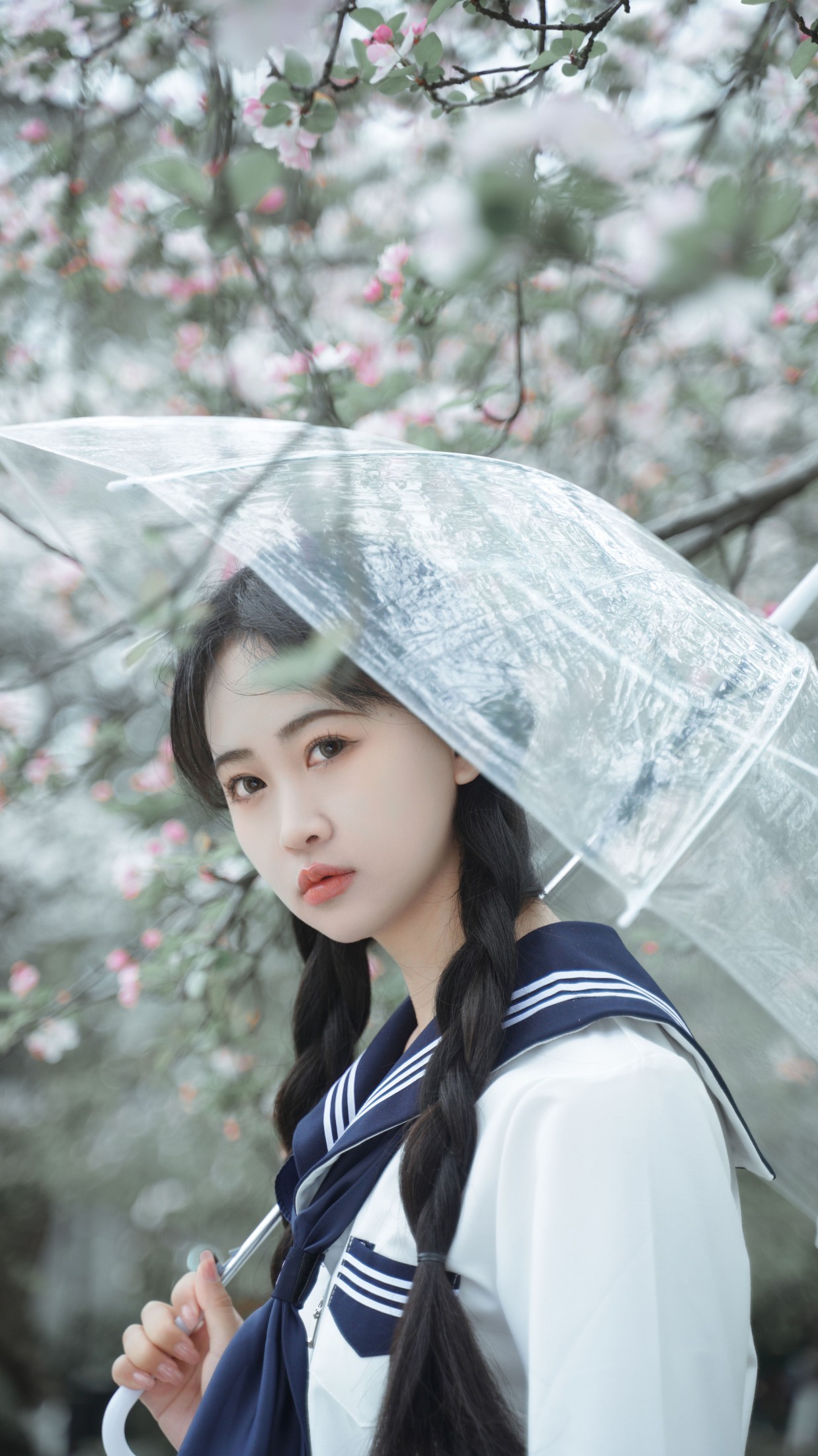 湫一只岁岁 – 《樱花》[27P]