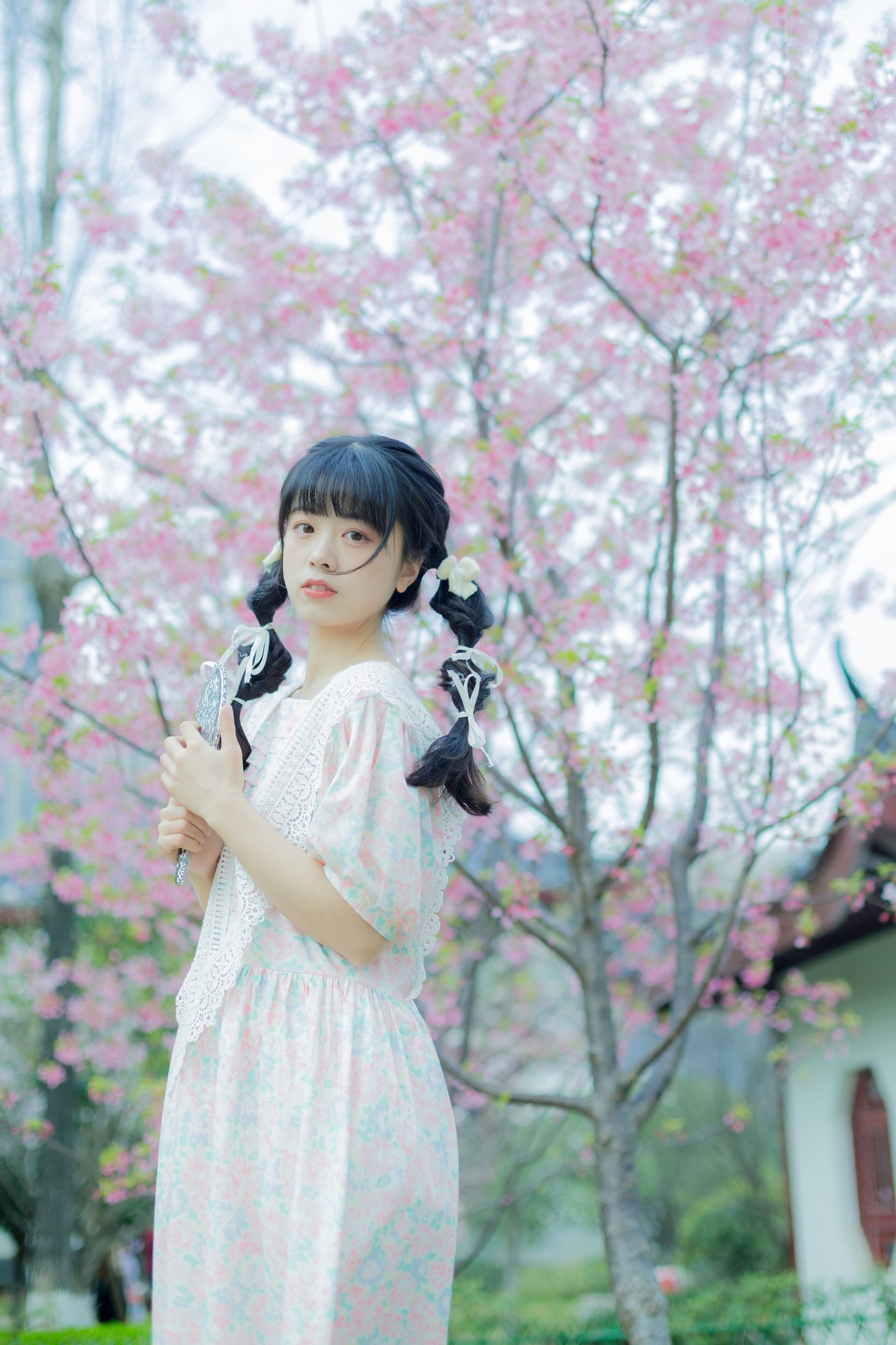 一只暖暖 – 《春日樱花记忆》[31P]