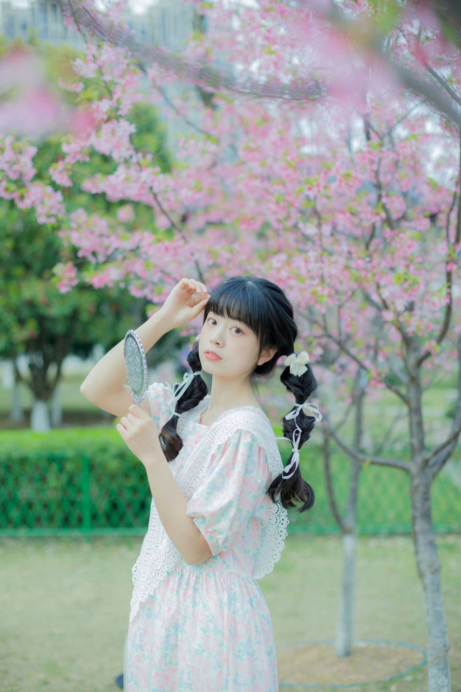 一只暖暖 – 《春日樱花记忆》[31P]