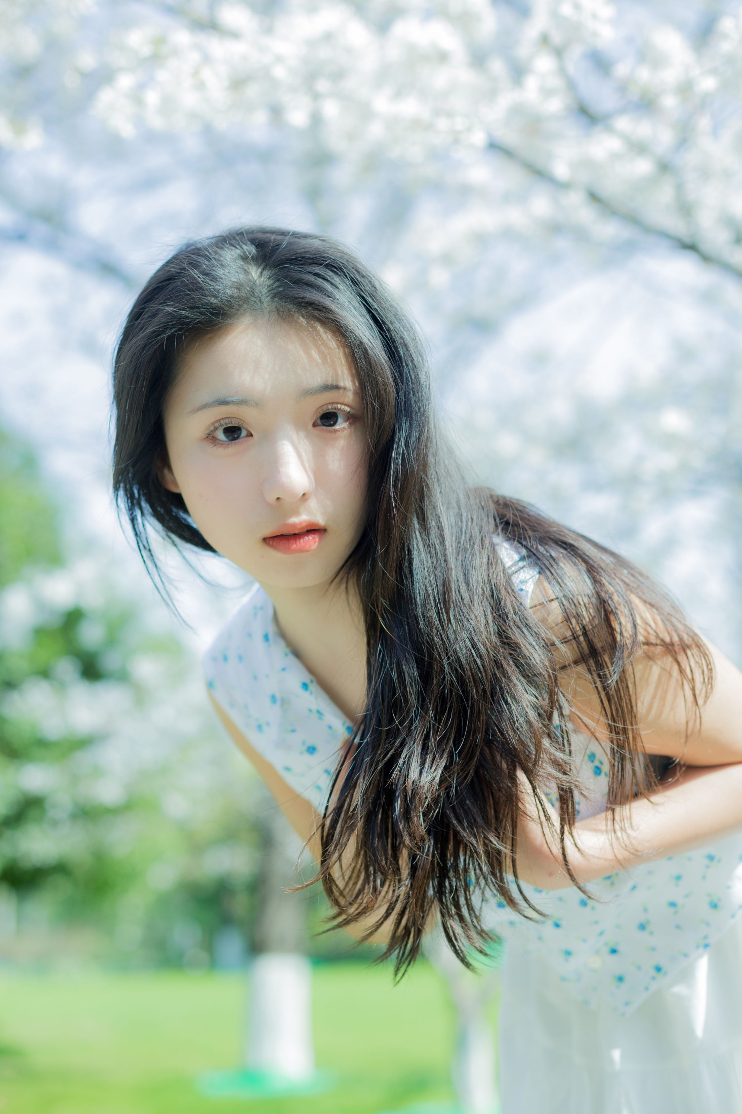 木柚柚 – 《晴天告急》[29P]