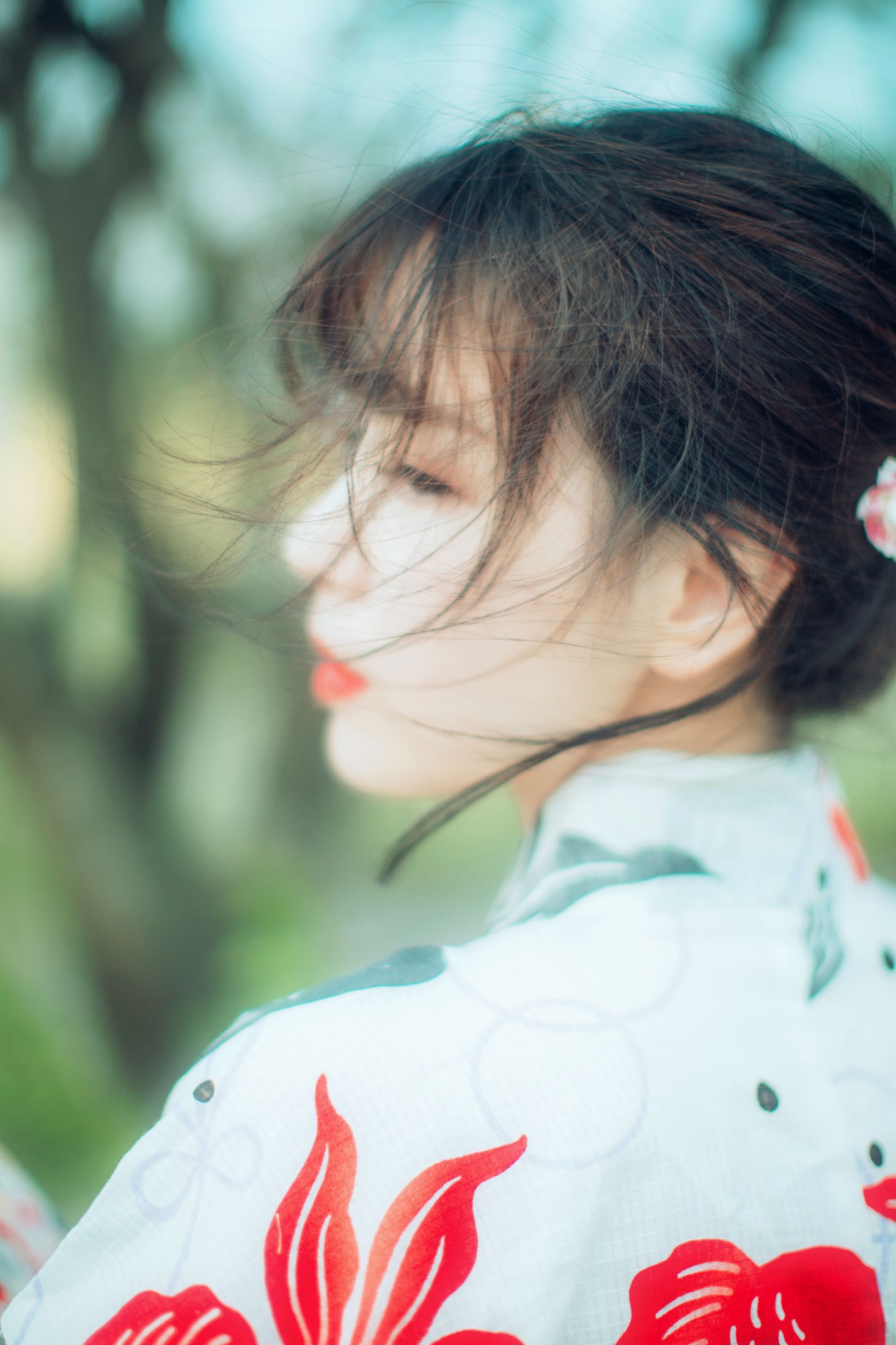 公子不坏 – 《流樱》[24P]