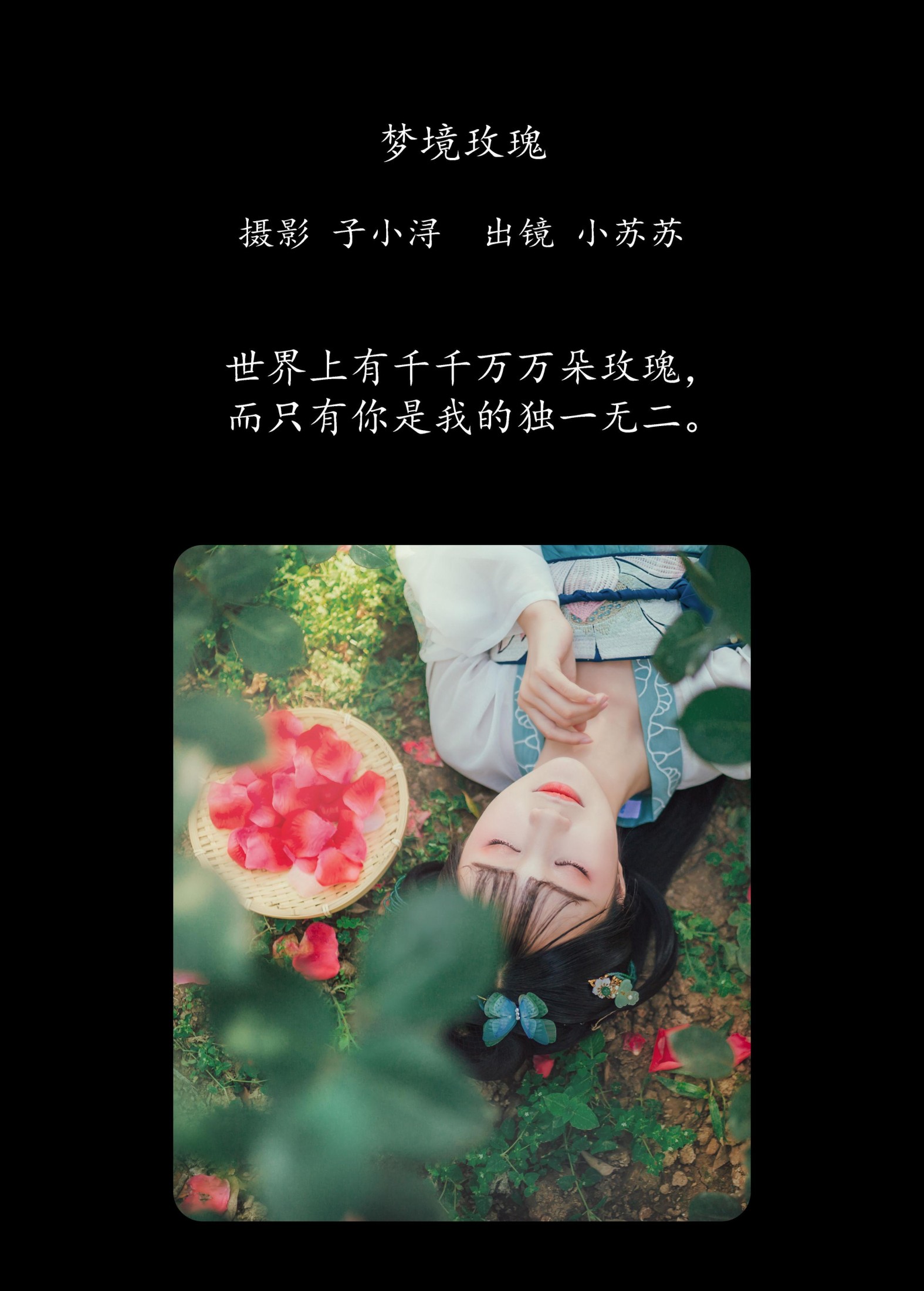 绮罗生的小苏苏 – 《梦境玫瑰》[23P]