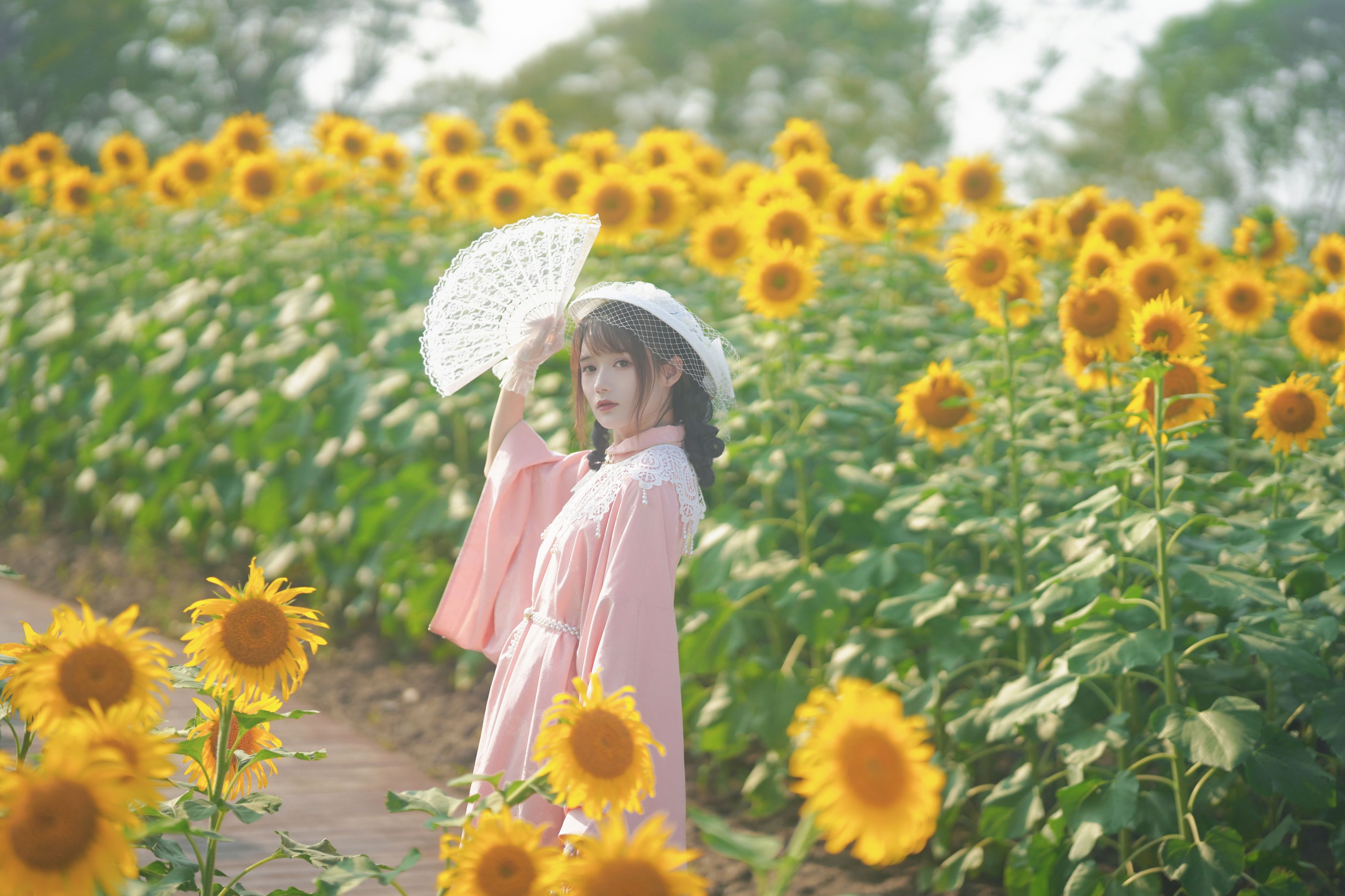 兔子Zzz不吃胡萝卜 – 《向日葵的回忆》[23P]