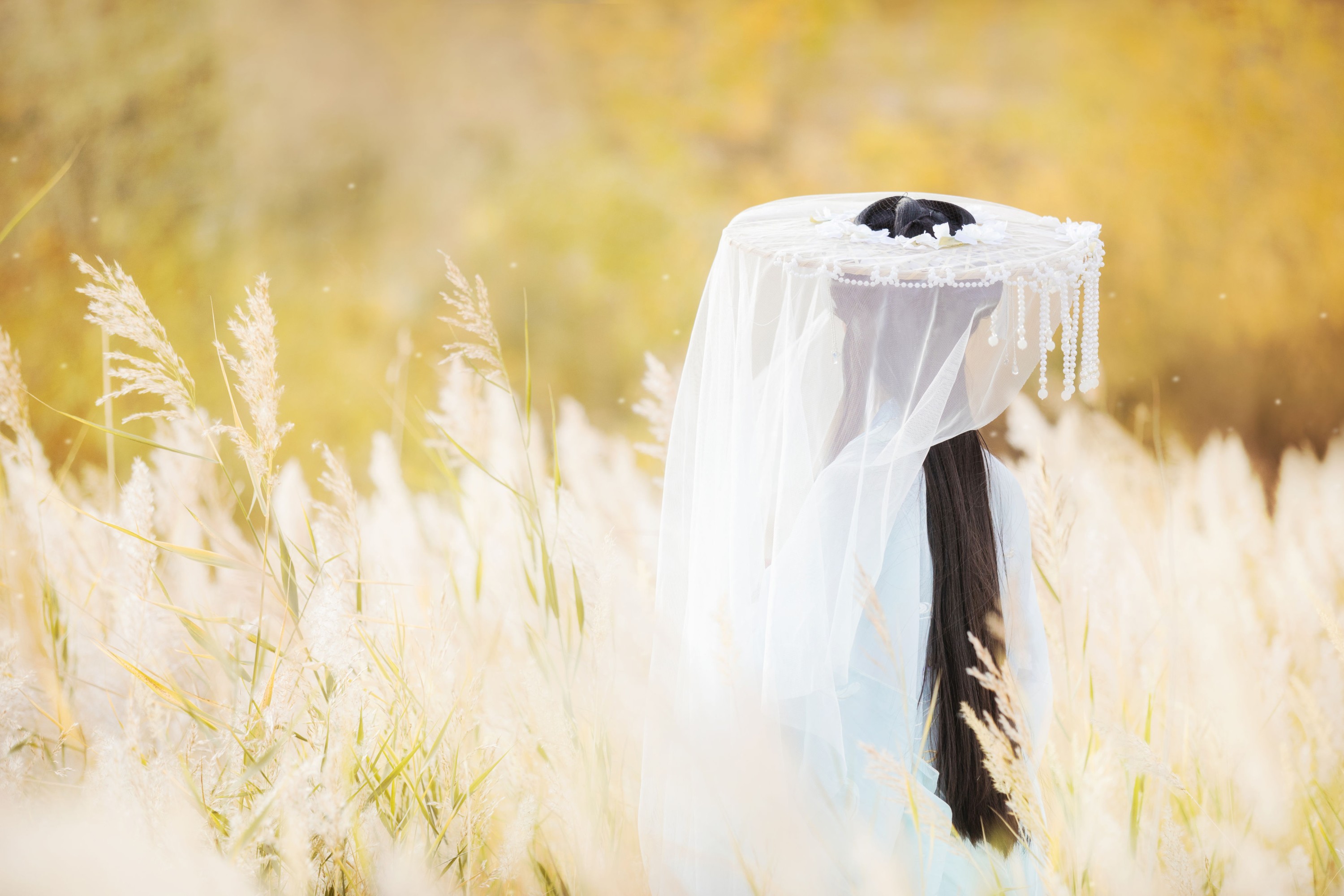 绮罗生的小苏苏 – 《化鹤归》[27P]