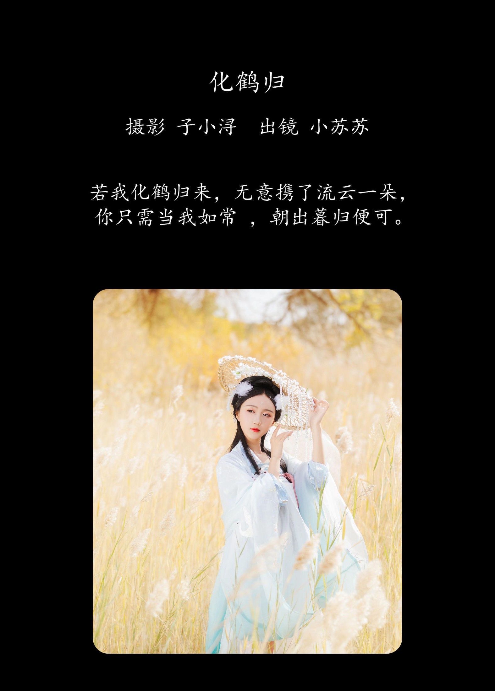 绮罗生的小苏苏 – 《化鹤归》[27P]