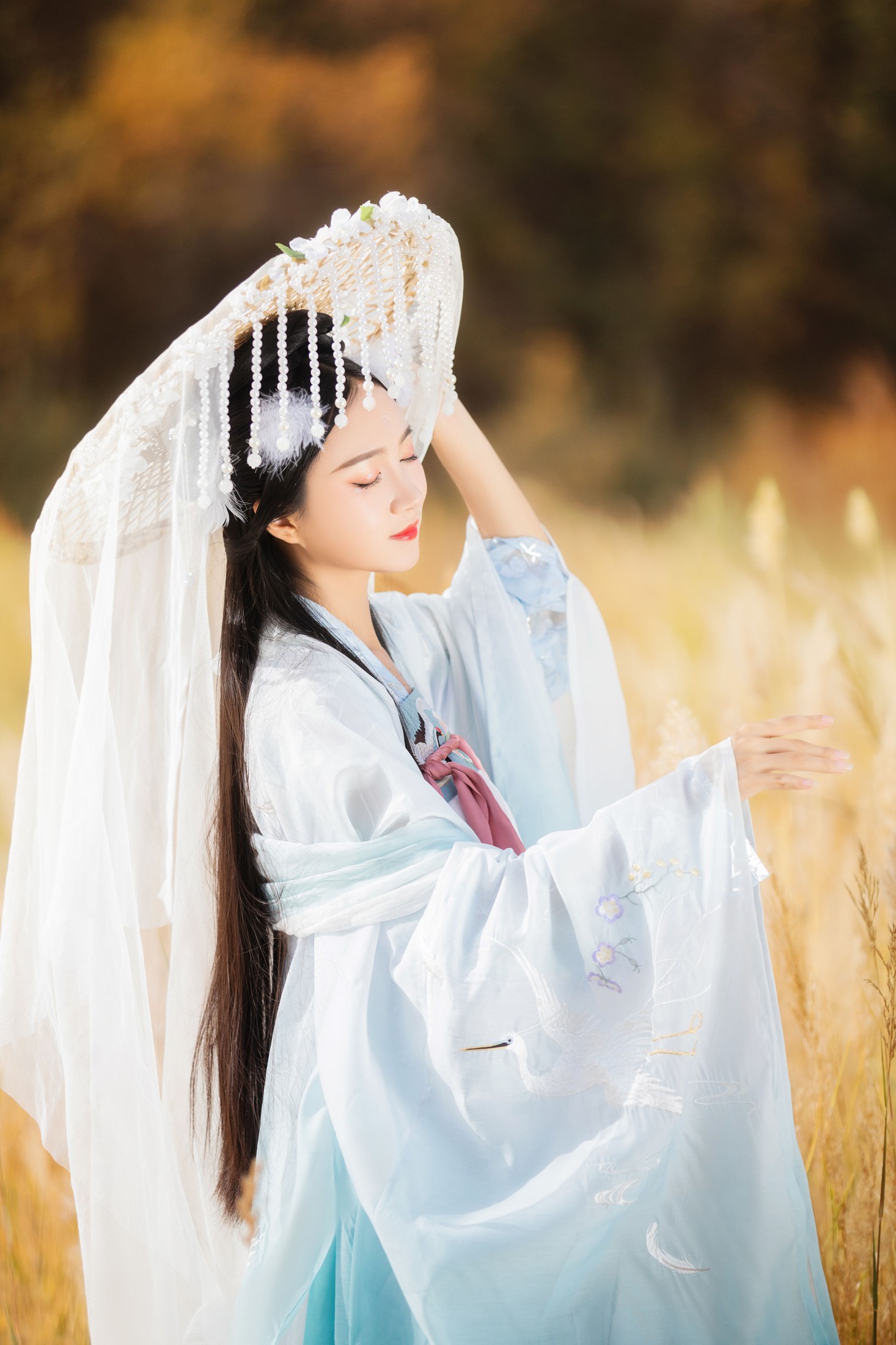 绮罗生的小苏苏 – 《化鹤归》[27P]