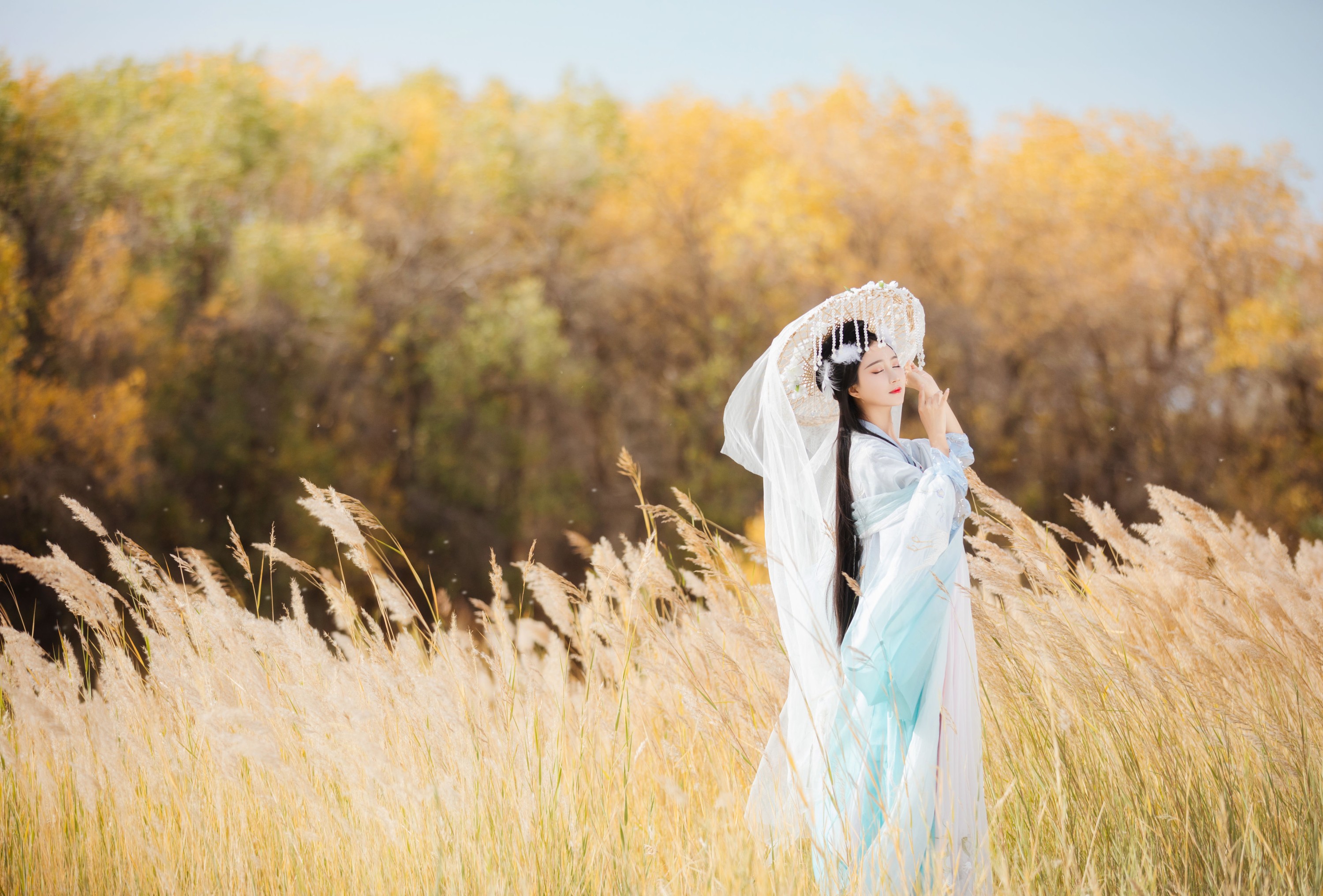 绮罗生的小苏苏 – 《化鹤归》[27P]