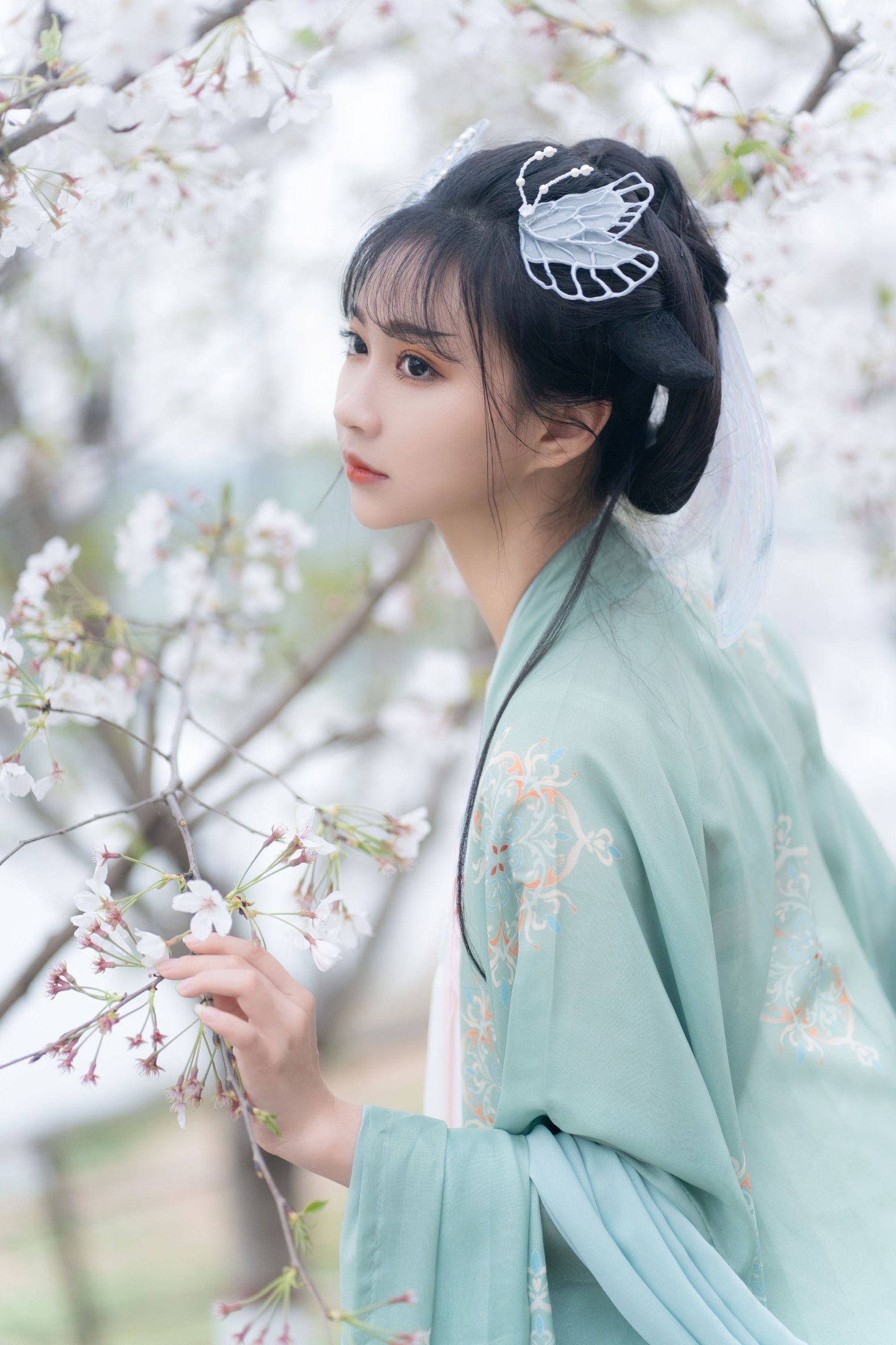 绮罗生的小苏苏 – 《云孤月》[22P]