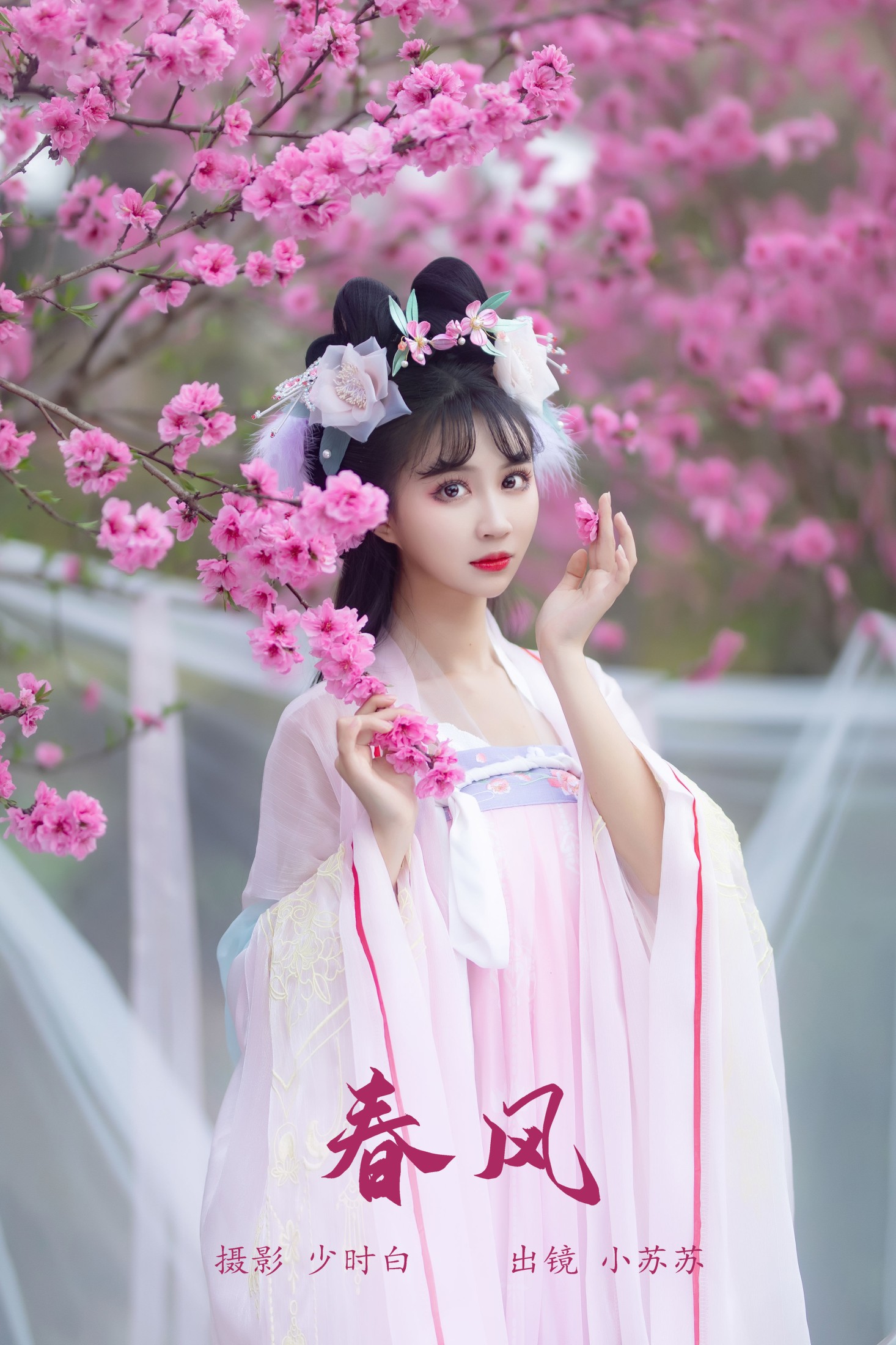 绮罗生的小苏苏 – 《春风》[28P]