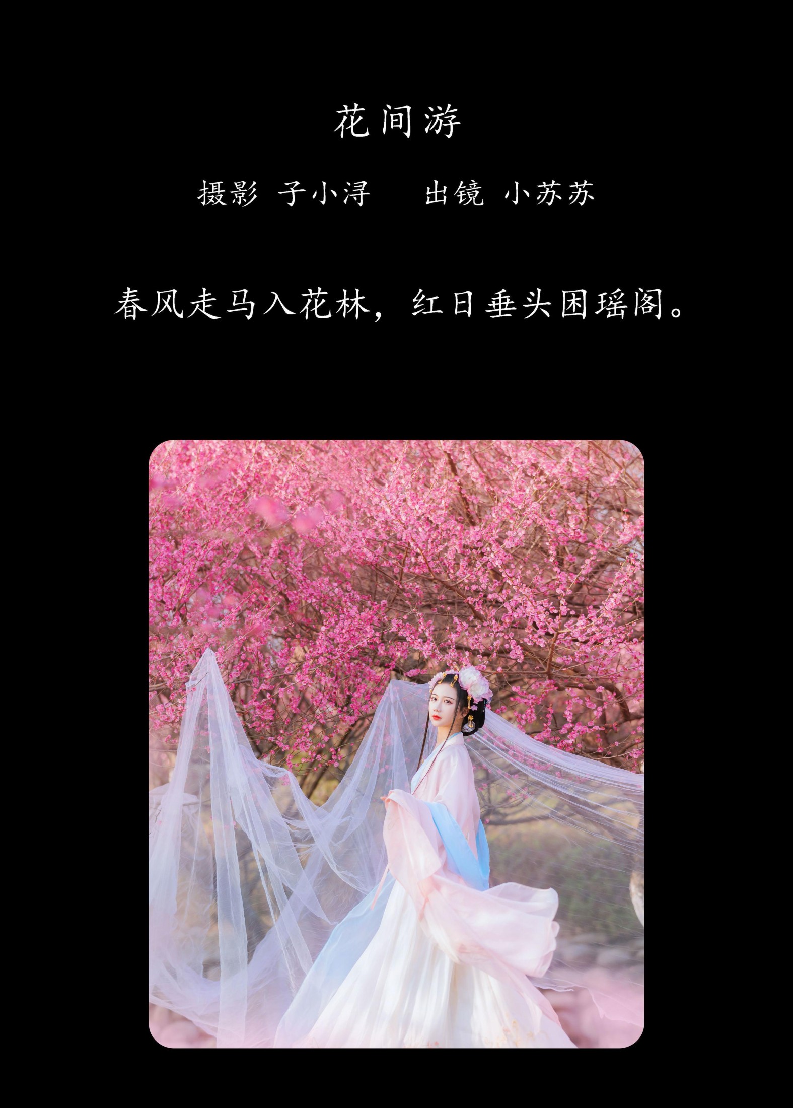 绮罗生的小苏苏 – 《花间游》[27P]