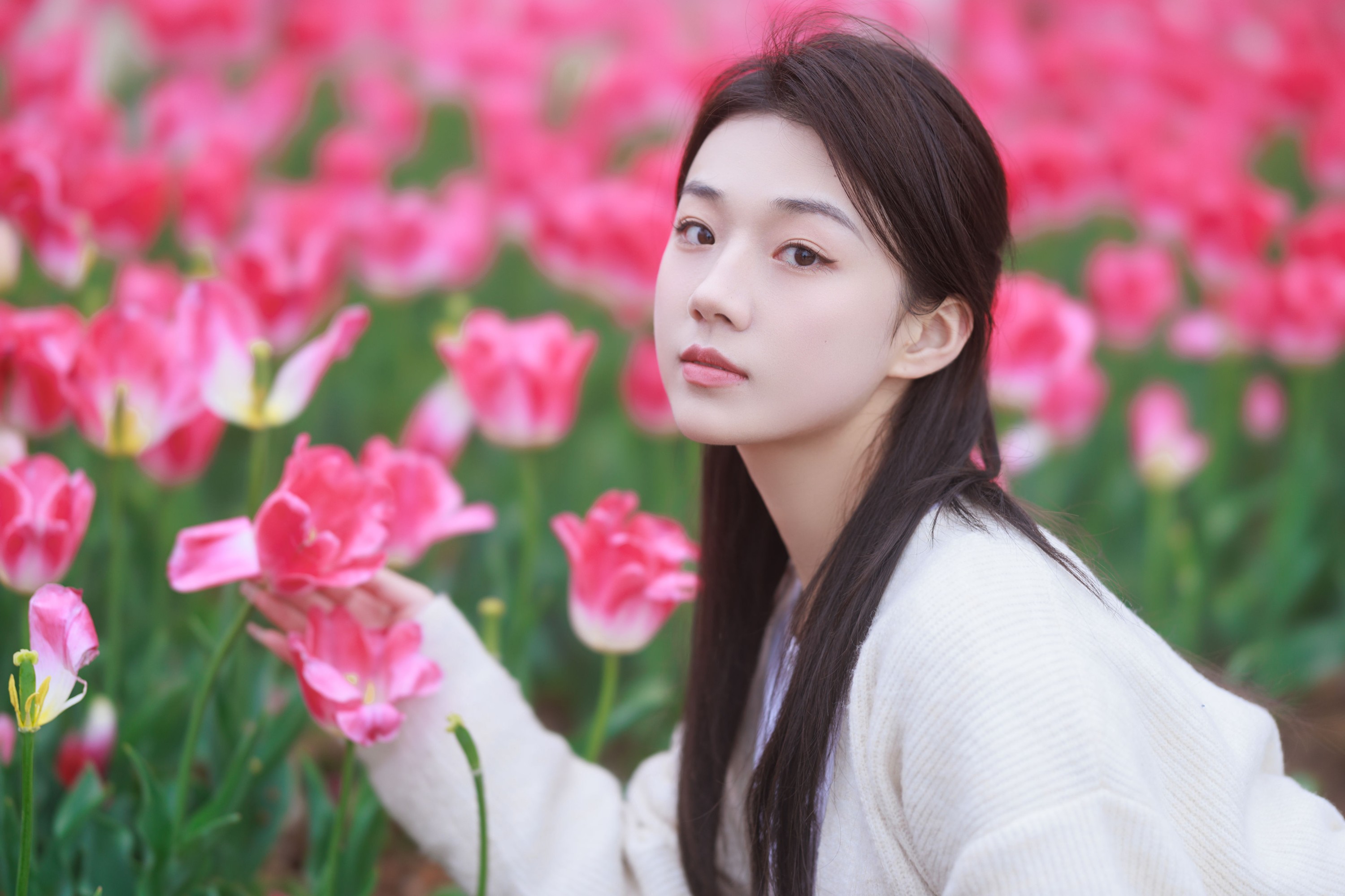 裴同学 – 《郁金香拍照》[28P]