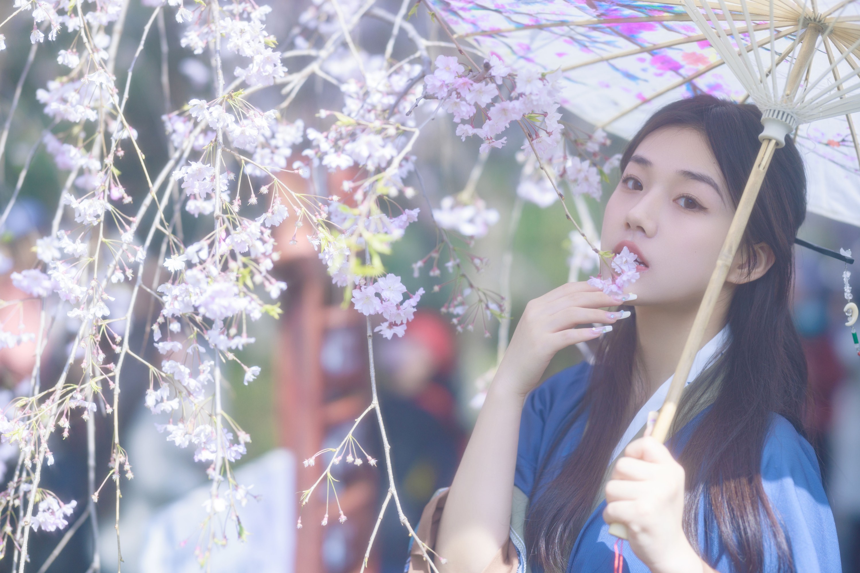 裴同学 – 《垂樱》[22P]