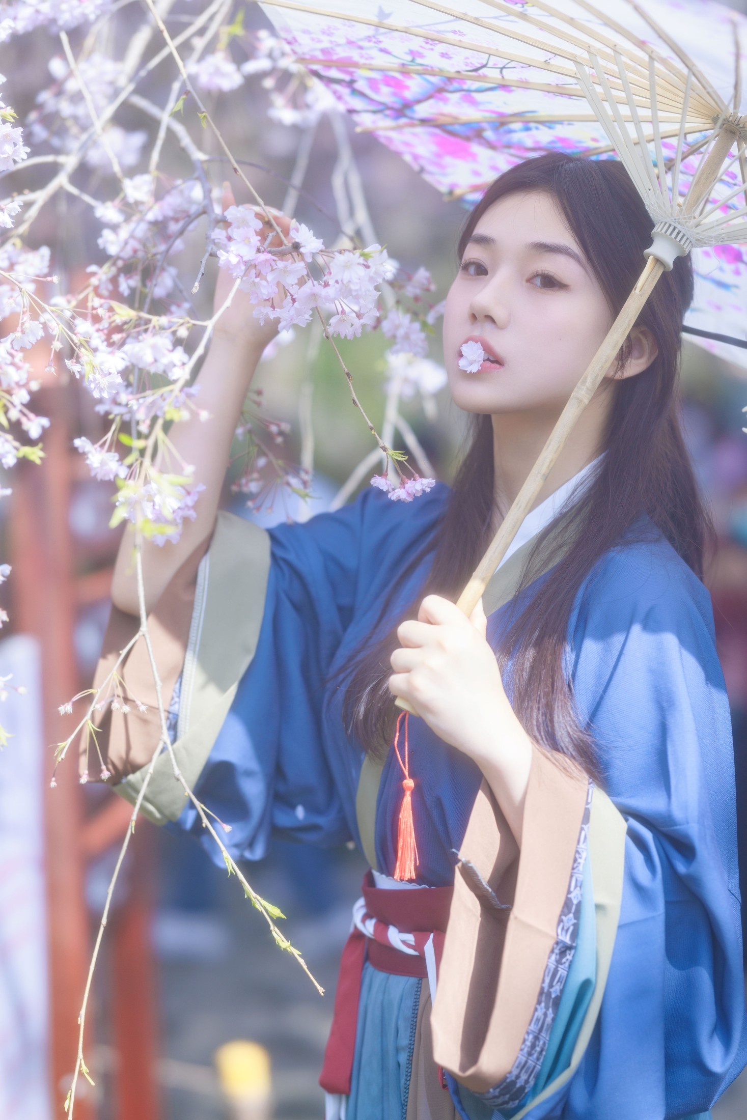 裴同学 – 《垂樱》[22P]