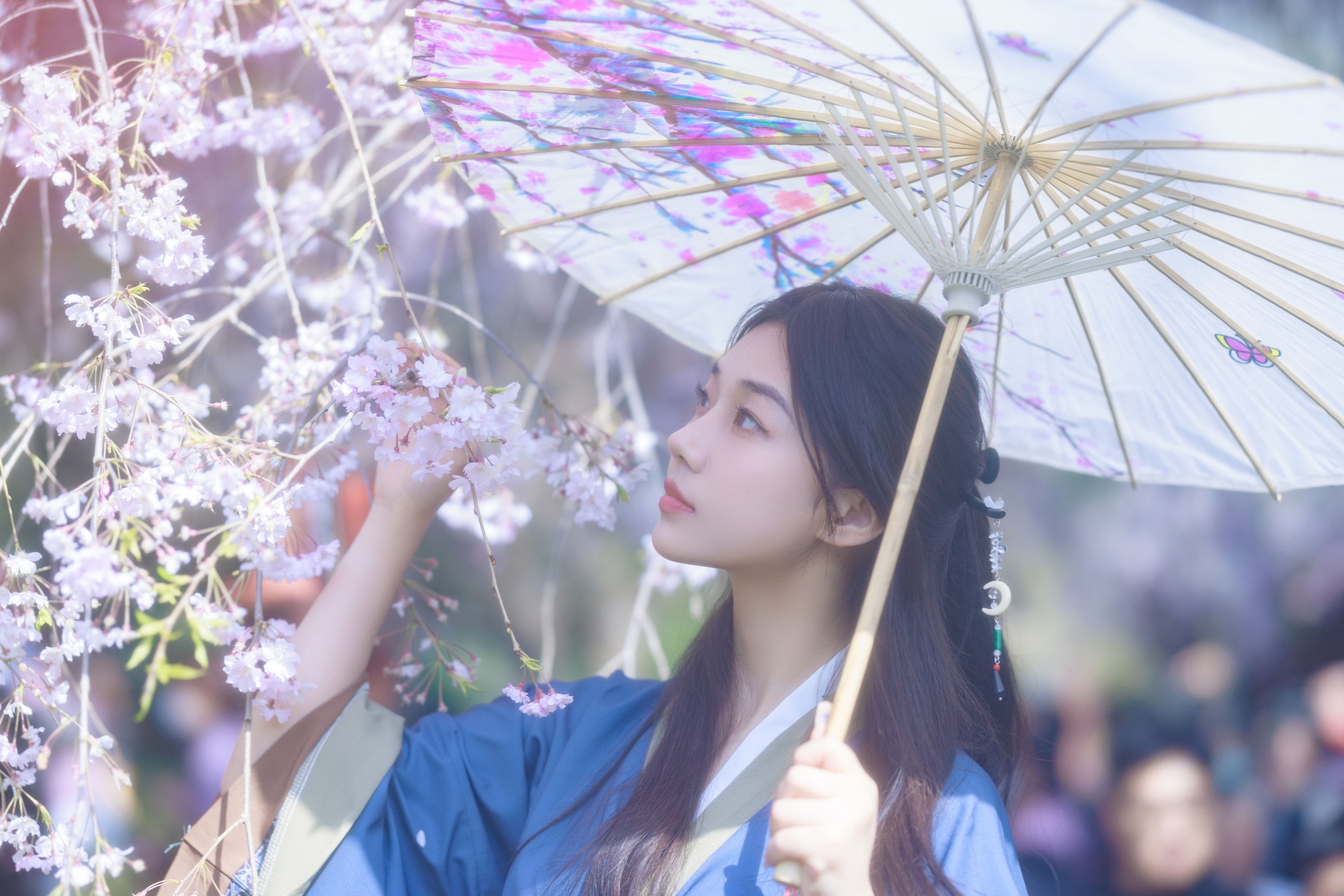 裴同学 – 《垂樱》[22P]