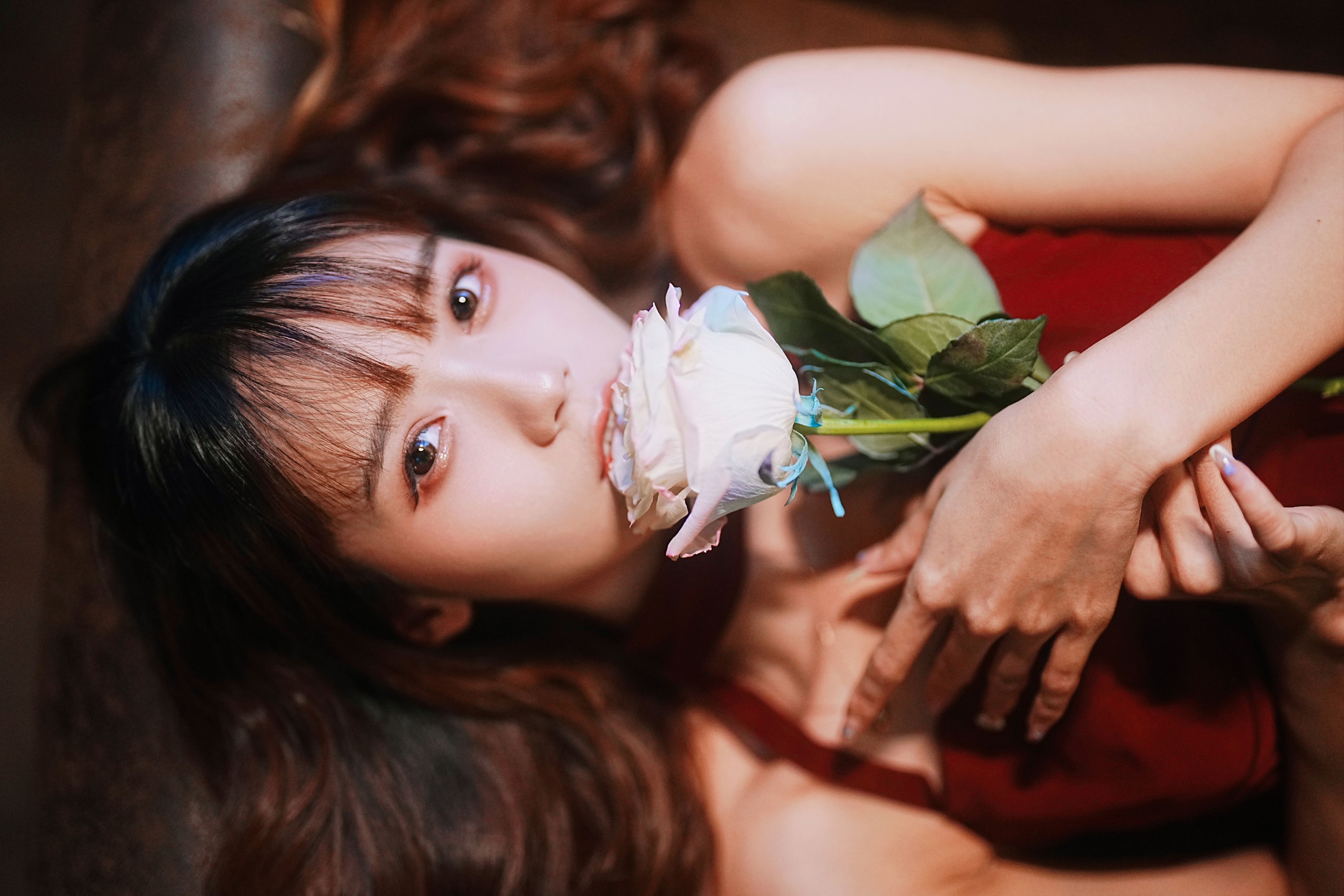 兔子Zzz不吃胡萝卜 – 《心动玫瑰》[22P]