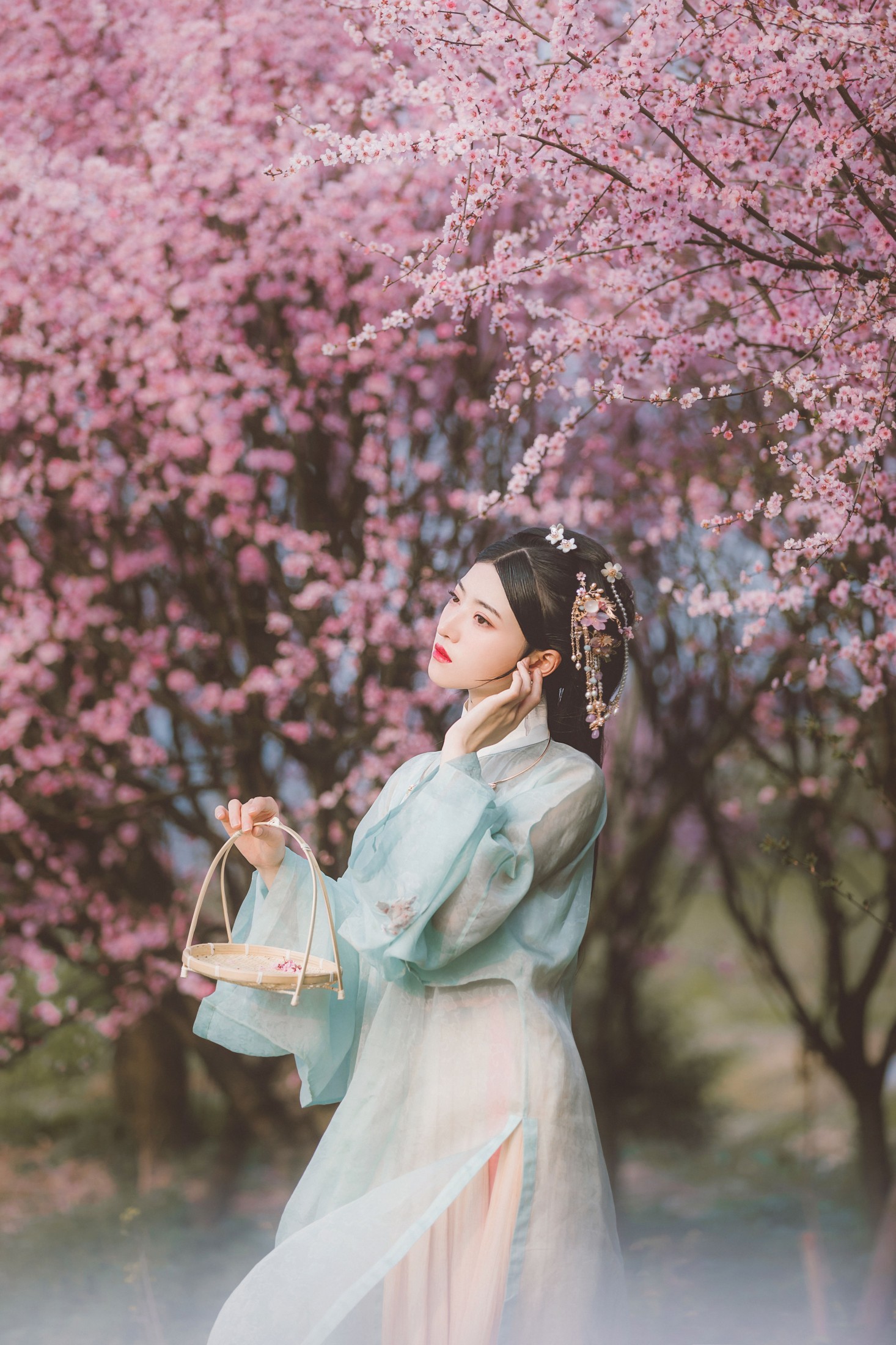 当初叫人家小田田 – 《美人梅》[21P]