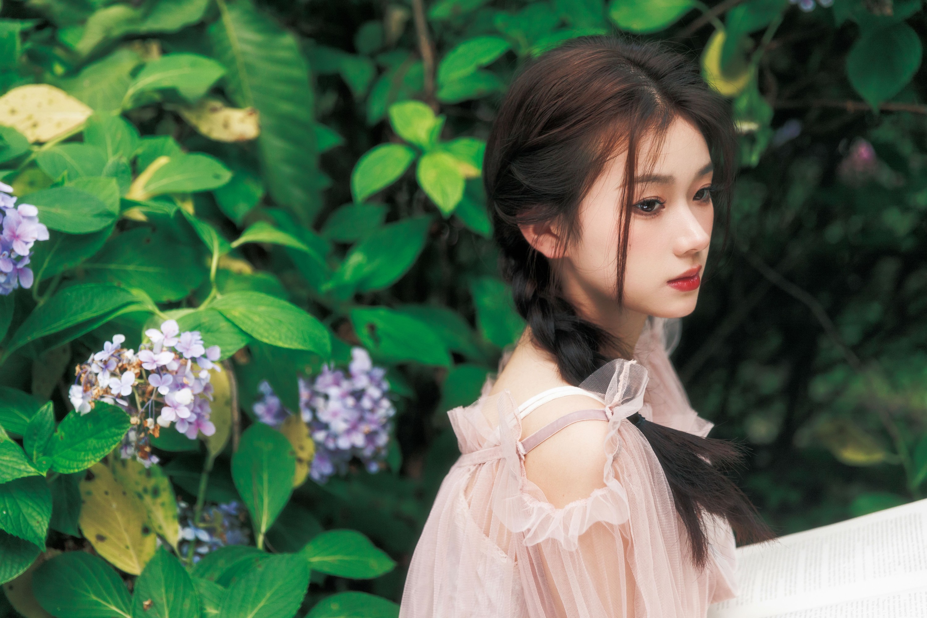 To小北 – 《花园里的夏天》[24P]