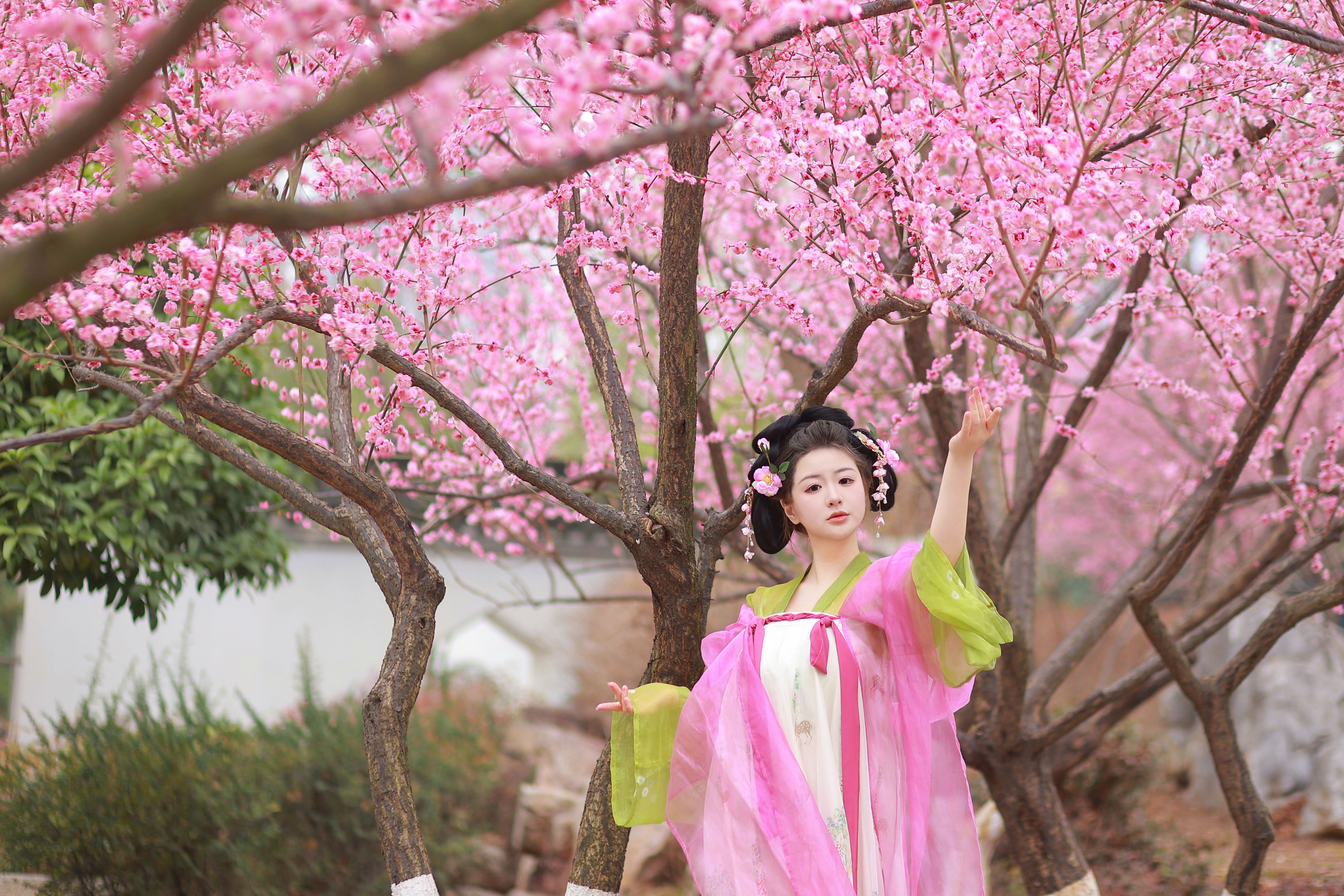 不可爱的禾禾喵 – 《赏梅》[28P]