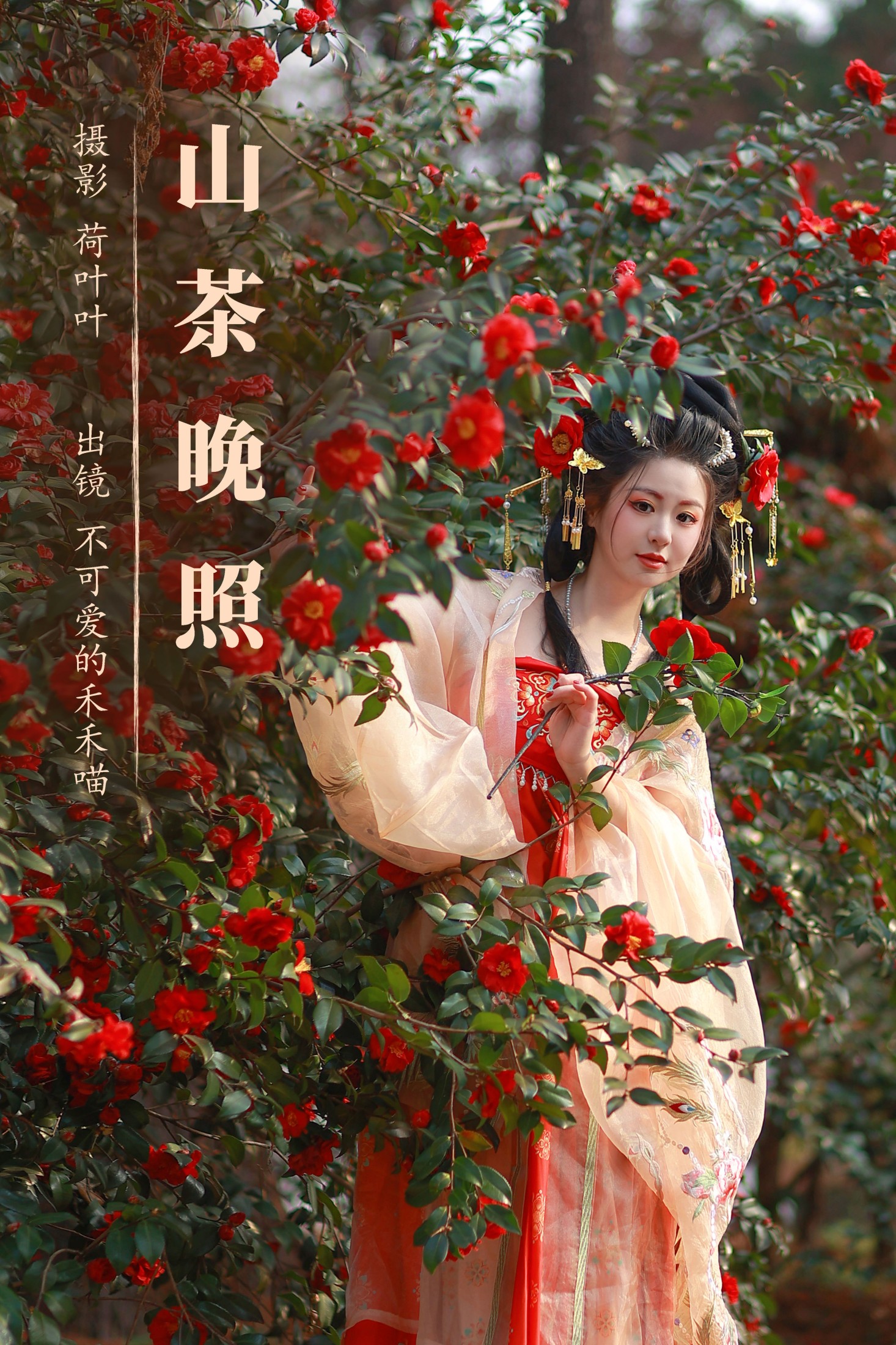 不可爱的禾禾喵 – 《山茶晚照》[27P]