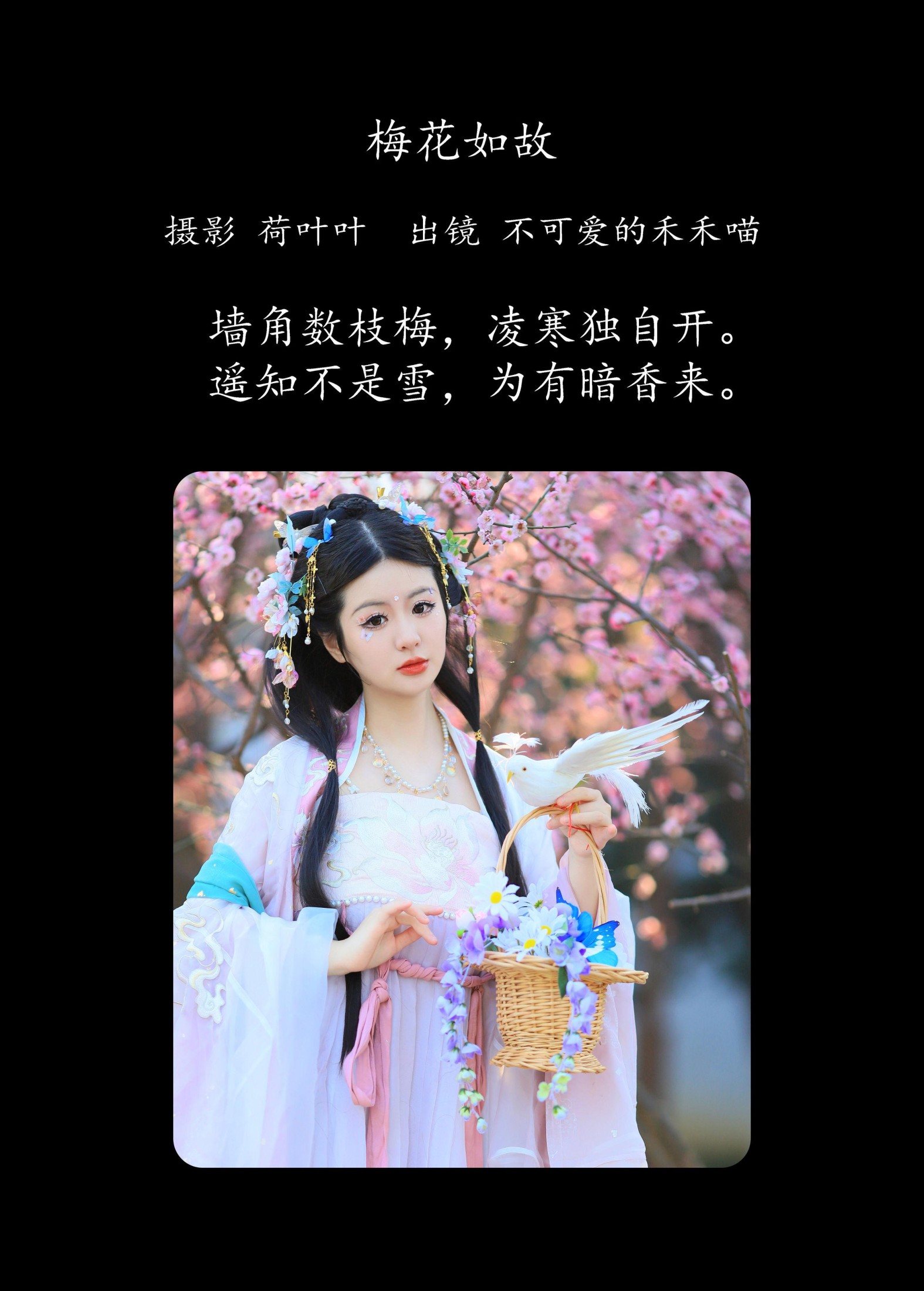 不可爱的禾禾喵 – 《梅花如故》[28P]