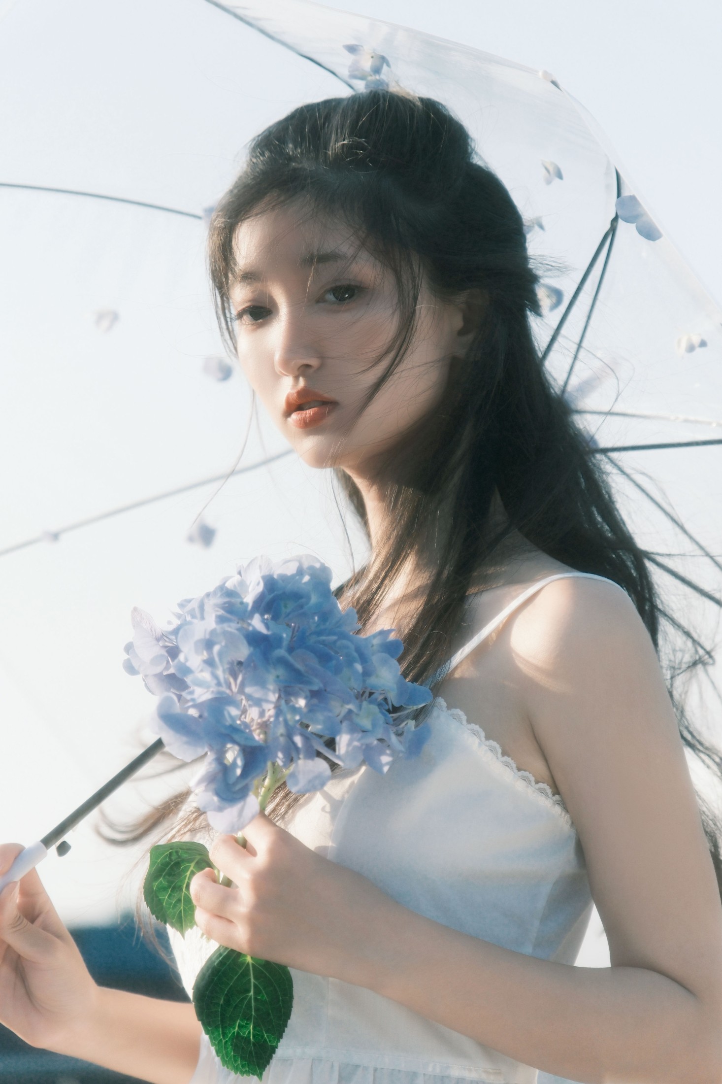 冷酷王爷 – 《降于青蓝》[25P]