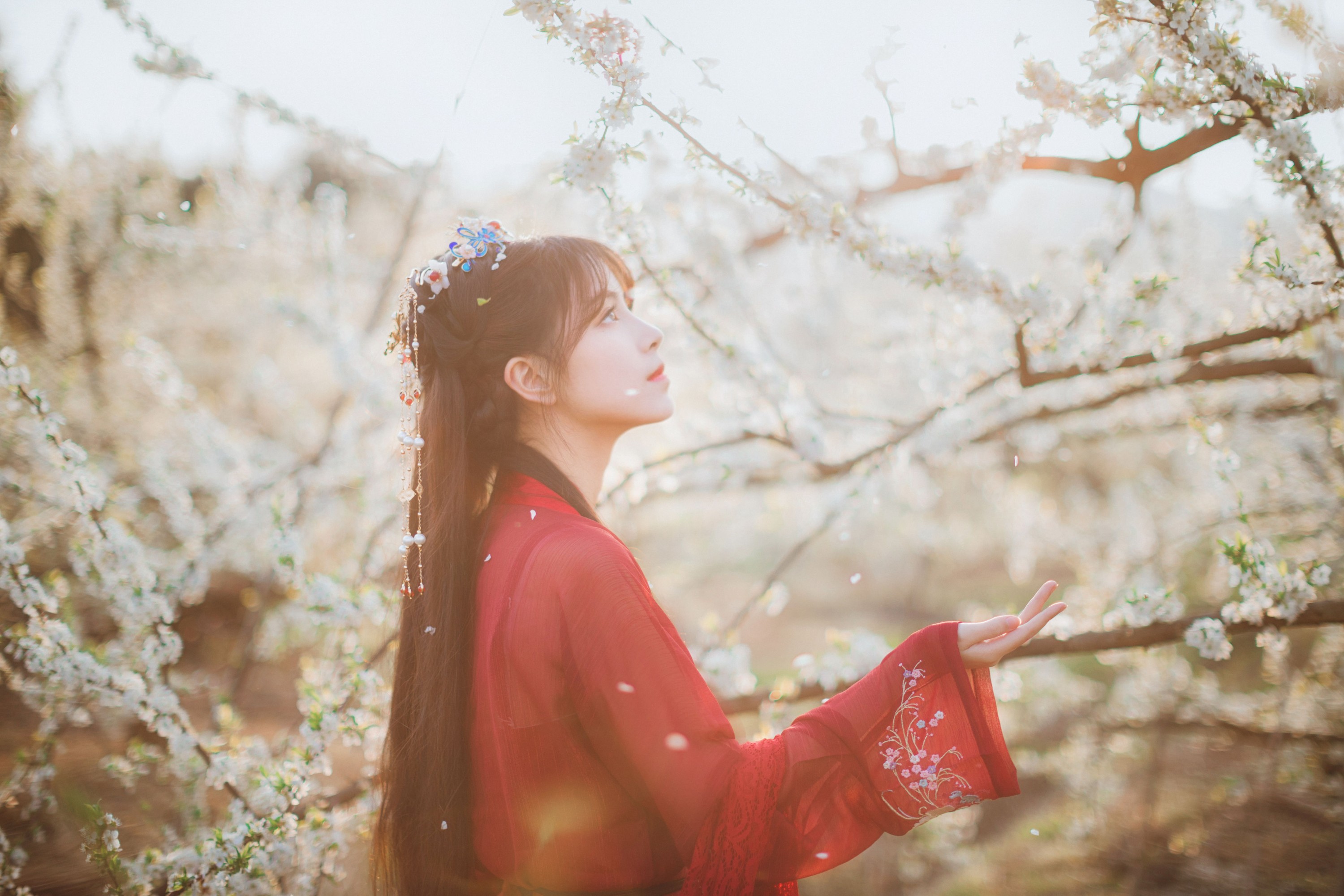 公子不坏 – 《知花事》[22P]