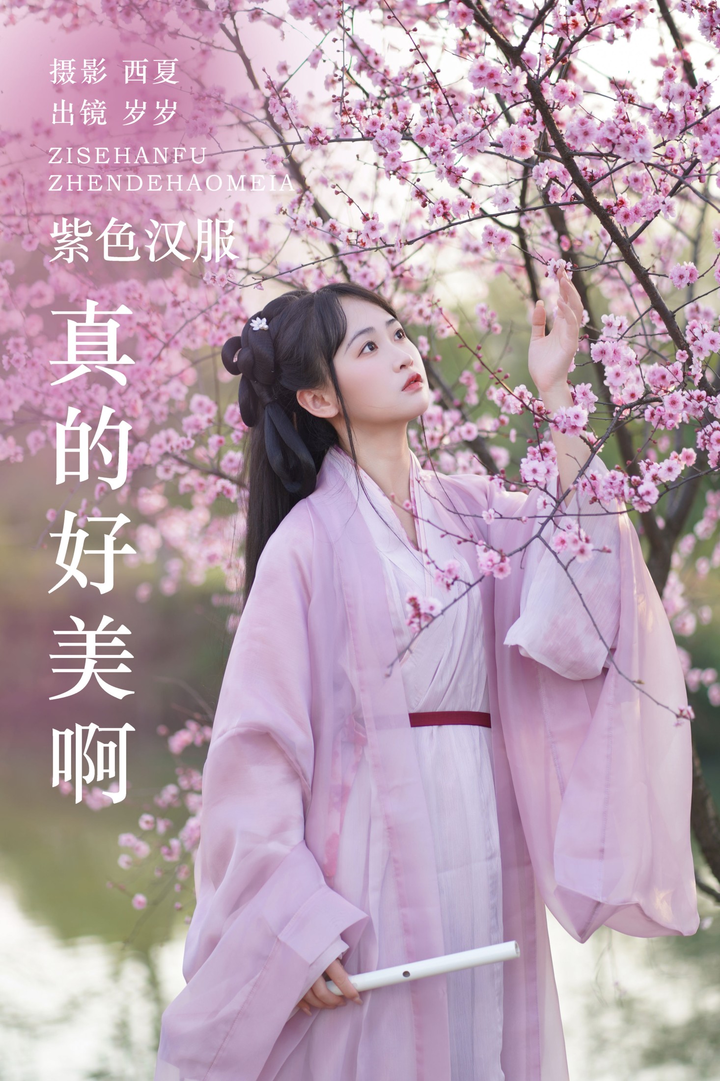 湫一只岁岁 – 《紫色汉服真的好美啊》[26P]