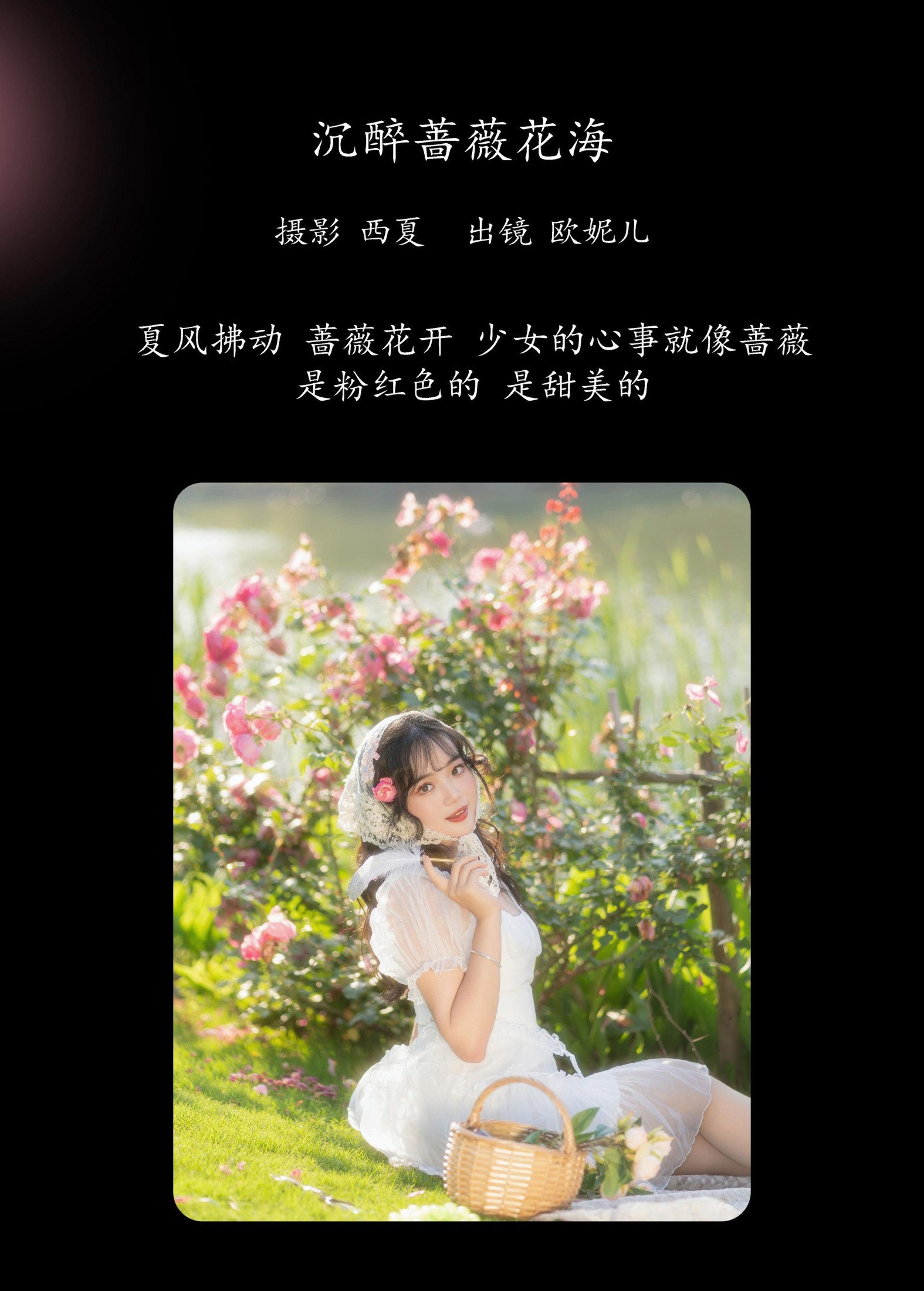 小欧O – 《沉醉蔷薇花海》[24P]