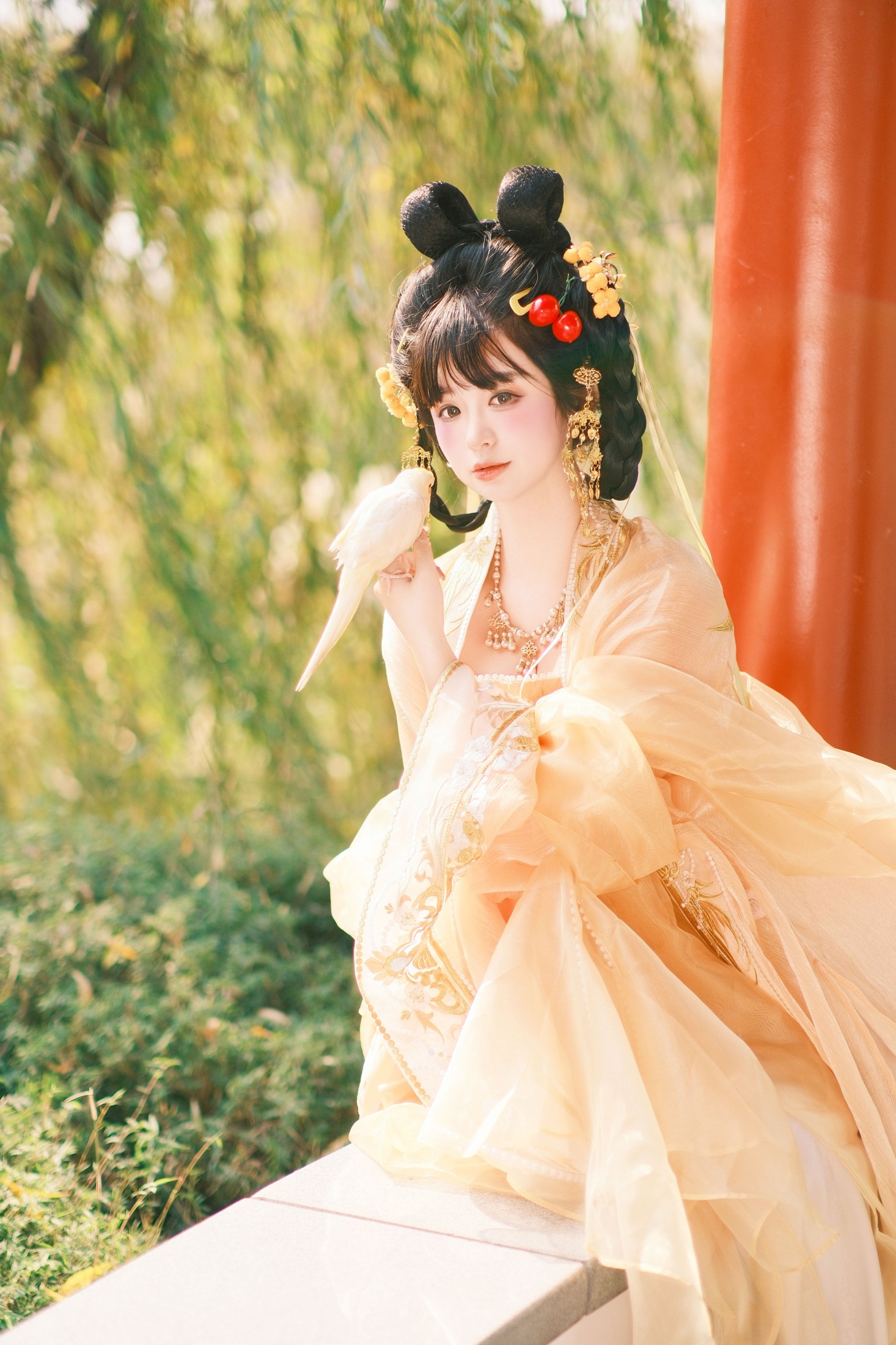 不可爱的禾禾喵 – 《金雀》[29P]